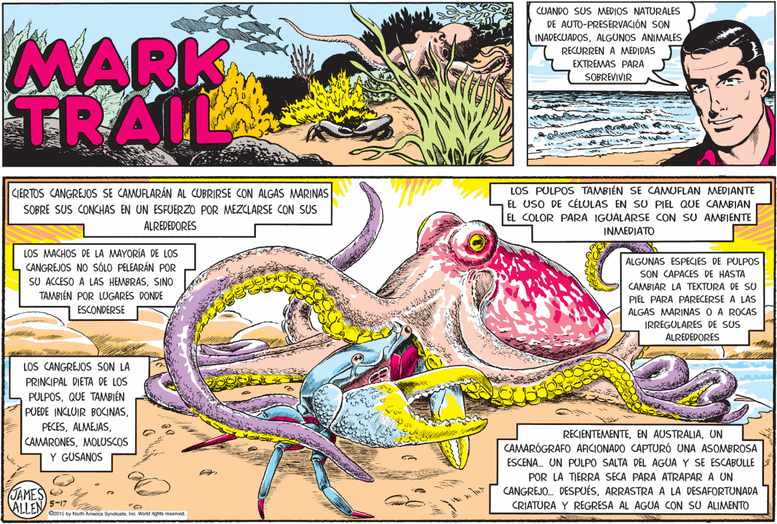 Bird OCR: CUANDO SUS MEDIOS NATURALES DE AUTO-PRESERVACIÓN SON INADECUADOSALGUNOS ANIMALES MARK TRAIL RECURREN A MEDIDAS EXTREMAS PARA SOBREVIVIR CIERTOS CANGREJOS SE CAMUFLARÁN AL CUBRIRSE CON ALGAS MARINAS SOBRE SUS CONCHAS EN UN ESFUERZO POR MEZCLARSE CON SUS LOS PULPOS TAMBIÉN SE CAMUFLAN MEDIANTE EL USO DE CÉLULAS EN SU PIEL QUE CAMBIAN EL COLOR PARA IGUALARSE CON SU AMBIENTE ALREDEDORES ?N?MEDIA?? LOS MACHOS DE LA MAYORÍA DE LOS CANGREJOS NO SÓLO PELEARÁN POR SU ACCESO A LAS HEMBRASSINO TAMBIÉN POR LUGARES DONDE ESCONDERSE ALGUNAS ESPECIES DE PULPOS SON CAPACES DE HASTA CAMBIAR LA TEXTURA DE SU PIEL PARA PARECERSE A LAS ALGAS MARINAS O A ROCAS IRREGULARES DE SUS ALREDEDORES LOS CANGREJOS SON LA PRINCIPAL DIETA DE LOS PULPOSQUE TAMBIÉN PUEDE INCLUIR BOCINASUN CAMARONESMOLUSCOS Y GUSANOS CAMARÓGRAFO ARICIONADO CAPTURÓ UNA ASOMBROSA ESCENA. UN PULPO SALTA DEL AGUA Y SE ESCABULLE JAMES) O ALLEN 5-17 POR LA TIERRA SECA PARA ATRAPAR A UN CANGREJO. DESPUÉSARRASTRA A LA DESAFORTUNADA CRIATURA Y REGRESA AL AGUA CON SU ALIMENTO G2015 by Nerth Amenica Syndionte.Ina. World nghts mseved. CUANDO SUS MEDIOS NATURALES DE AUTO-PRESERVACIÓN SON INADECUADOSALGUNOS ANIMALES MARK TRAIL RECURREN A MEDIDAS EXTREMAS PARA SOBREVIVIR CIERTOS CANGREJOS SE CAMUFLARÁN AL CUBRIRSE CON ALGAS MARINAS SOBRE SUS CONCHAS EN UN ESFUERZO POR MEZCLARSE CON SUS LOS PULPOS TAMBIÉN SE CAMUFLAN MEDIANTE EL USO DE CÉLULAS EN SU PIEL QUE CAMBIAN EL COLOR PARA IGUALARSE CON SU AMBIENTE ALREDEDORES ?N?MEDIA?? LOS MACHOS DE LA MAYORÍA DE LOS CANGREJOS NO SÓLO PELEARÁN POR SU ACCESO A LAS HEMBRASSINO TAMBIÉN POR LUGARES DONDE ESCONDERSE ALGUNAS ESPECIES DE PULPOS SON CAPACES DE HASTA CAMBIAR LA TEXTURA DE SU PIEL PARA PARECERSE A LAS ALGAS MARINAS O A ROCAS IRREGULARES DE SUS ALREDEDORES LOS CANGREJOS SON LA PRINCIPAL DIETA DE LOS PULPOSQUE TAMBIÉN PUEDE INCLUIR BOCINASEN AUSTRALIAUN CAMARONESMOLUSCOS Y GUSANOS CAMARÓGRAFO ARICIONADO CAPTURÓ UNA ASOMBROSA ESCENA. UN PULPO SALTA DEL AGUA Y SE ESCABULLE JAMES) O ALLEN 5-17 POR LA TIERRA SECA PARA ATRAPAR A UN CANGREJO. DESPUÉSARRASTRA A LA DESAFORTUNADA CRIATURA Y REGRESA AL AGUA CON SU ALIMENTO G2015 by Nerth Amenica Syndionte.Ina. World nghts mseved.