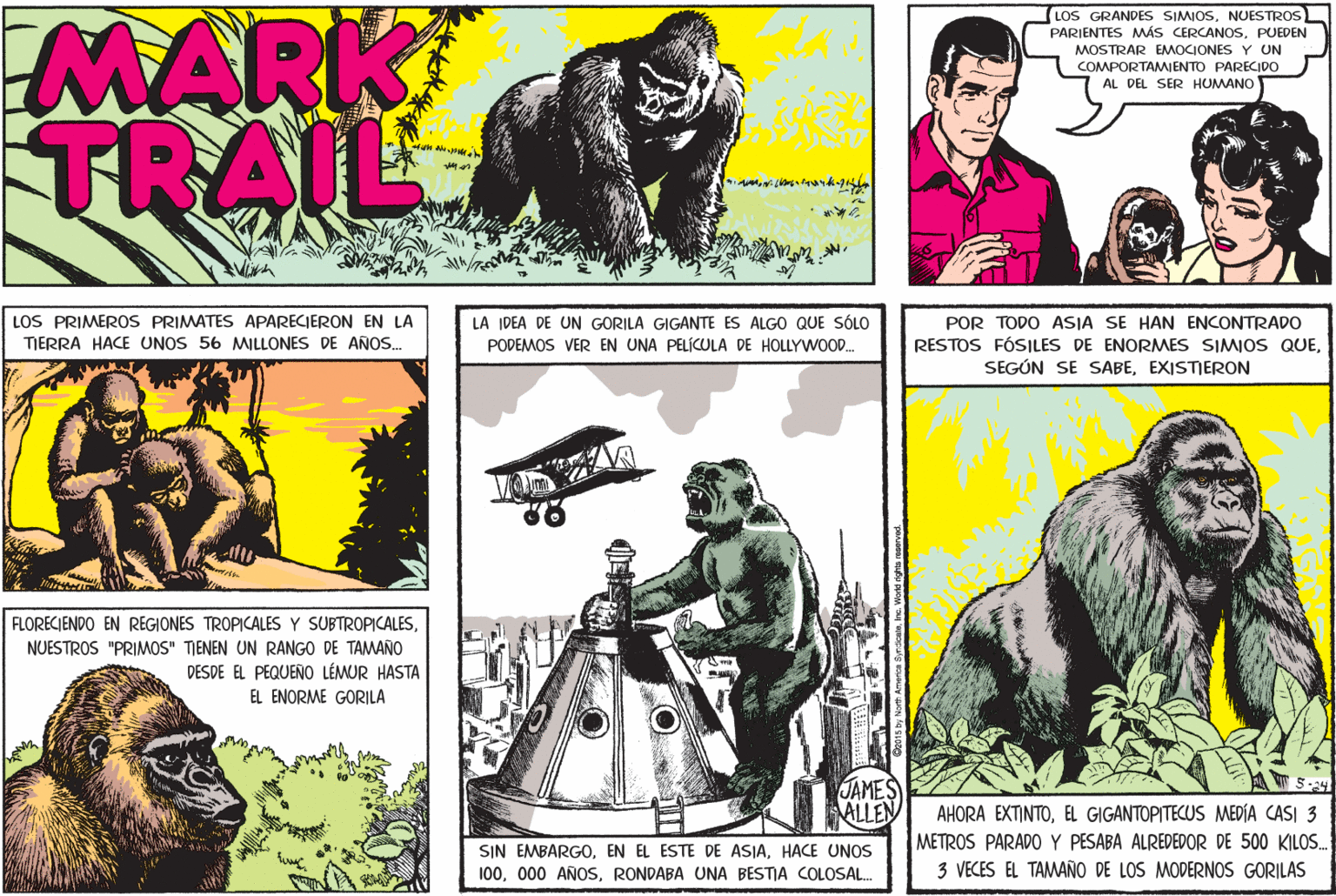 Font OCR: MARK TRAIL LOS GRANDES SIMIOSNUESTROS PARIENTES MÁS CERCANOSPUEDEN MOSTRAR EMOCIONES Y UN COMPORTAMJENTO PARECIDO AL DEL SER HUMANO LOS PRIMEROS PRIMATES APARECIERON EN LA TIERRA HACE UNOS 56 MILLONES DE AÑOS. POR TODO ASIA SE HAN ENCONTRADO RESTOS FÓSILES DE ENORMES SIMIOS QUEEXISTIERON LA JDEA DE UN GORILA GIGANTE ES ALGO QUE SÓLO PODEMOS VER EN UNA PELÍCULA DE HOLLYWOOD. FLORECIENDO EN REGIONES TROPICALES Y SUBTROPICALESNUESTROS "PRIMOS" TJENEN UN RANGO DE TAMAÑO DESDE EL PEQUENO LÉMUR HASTA EL ENORME GORILA JAMES ALLEN AHORA EXTINTOEL GIGANTOPITECUS MEDÍA CASI 3 METROS PARADO Y PESABA ALREDEDOR DE 500 KILOS. 3 VECES EL TAMAÑO DE LOS MODERNOS GORILAS SIN EMBARGOHACE UNOS 100RONDABA UNA BESTIA COLOSAL. MARK TRAIL LOS GRANDES SIMIOSNUESTROS PARIENTES MÁS CERCANOSPUEDEN MOSTRAR EMOCIONES Y UN COMPORTAMJENTO PARECIDO AL DEL SER HUMANO LOS PRIMEROS PRIMATES APARECIERON EN LA TIERRA HACE UNOS 56 MILLONES DE AÑOS. POR TODO ASIA SE HAN ENCONTRADO RESTOS FÓSILES DE ENORMES SIMIOS QUESEGÚN SE SABEEXISTIERON LA JDEA DE UN GORILA GIGANTE ES ALGO QUE SÓLO PODEMOS VER EN UNA PELÍCULA DE HOLLYWOOD. FLORECIENDO EN REGIONES TROPICALES Y SUBTROPICALESNUESTROS "PRIMOS" TJENEN UN RANGO DE TAMAÑO DESDE EL PEQUENO LÉMUR HASTA EL ENORME GORILA JAMES ALLEN AHORA EXTINTOEL GIGANTOPITECUS MEDÍA CASI 3 METROS PARADO Y PESABA ALREDEDOR DE 500 KILOS. 3 VECES EL TAMAÑO DE LOS MODERNOS GORILAS SIN EMBARGOEN EL ESTE DE ASIAHACE UNOS 100000 AÑOSRONDABA UNA BESTIA COLOSAL.
