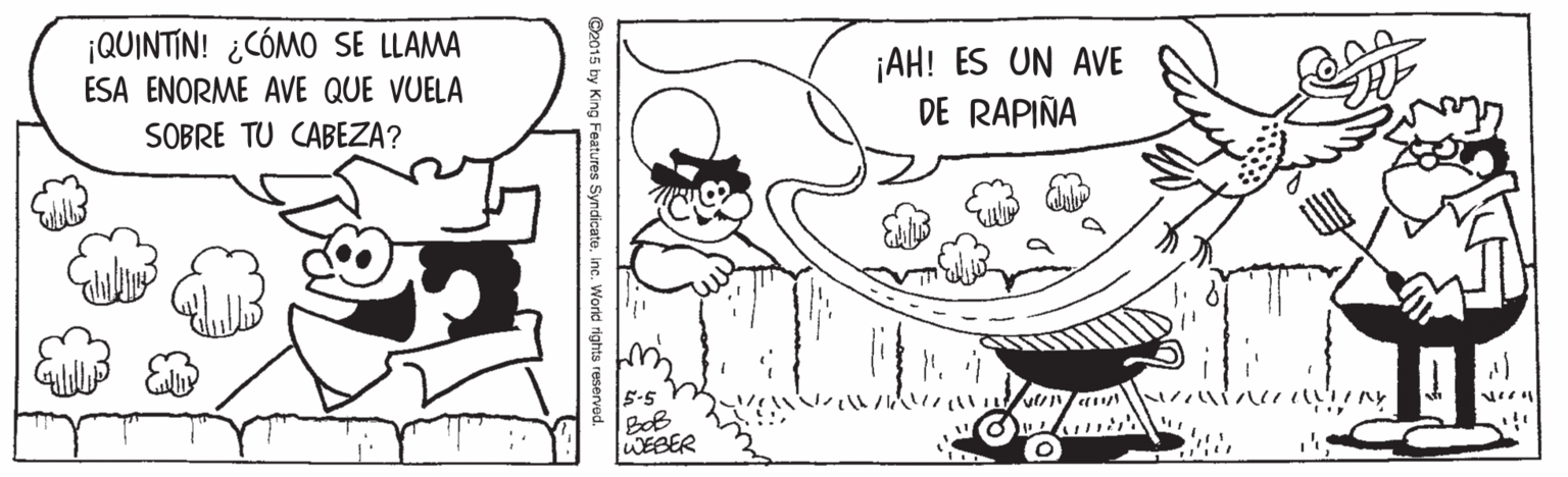 Jaw OCR: ¡QUINTIN! ¿CÓMO SE LLAMA ESA ENORME AVE QUE VUELA ¡AH! ES UN AVE DE RAPIÑA SOBRE TU CABEZA? 5-5 BoB WEBER ¡QUINTIN! ¿CÓMO SE LLAMA ESA ENORME AVE QUE VUELA ¡AH! ES UN AVE DE RAPIÑA SOBRE TU CABEZA? 5-5 BoB WEBER