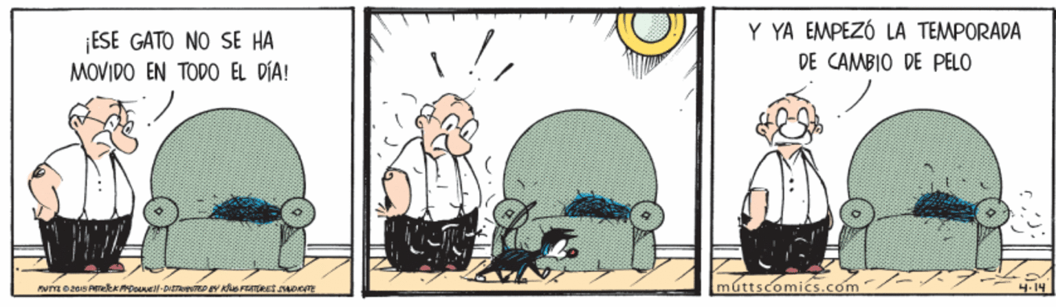 Sharing OCR: ¡ESE GATO NO SE HA MOVIDO EN TODO EL DÍA! Y YA EMPEZÓ LA TEMPORADA DE CAMBIO DE PELO múttscomics.com 4.14 ¡ESE GATO NO SE HA MOVIDO EN TODO EL DÍA! Y YA EMPEZÓ LA TEMPORADA DE CAMBIO DE PELO múttscomics.com 4.14