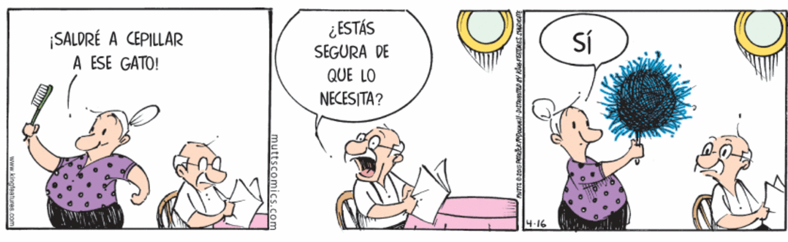 Font OCR: ¿ESTÁS SEGURA DE QUE LO NECESITA? ¡SALDRÉ A CEPILLAR A ESE GATO! SÍ 4.16 muttscomics.com kingleatures.co ¿ESTÁS SEGURA DE QUE LO NECESITA? ¡SALDRÉ A CEPILLAR A ESE GATO! SÍ 4.16 muttscomics.com kingleatures.co