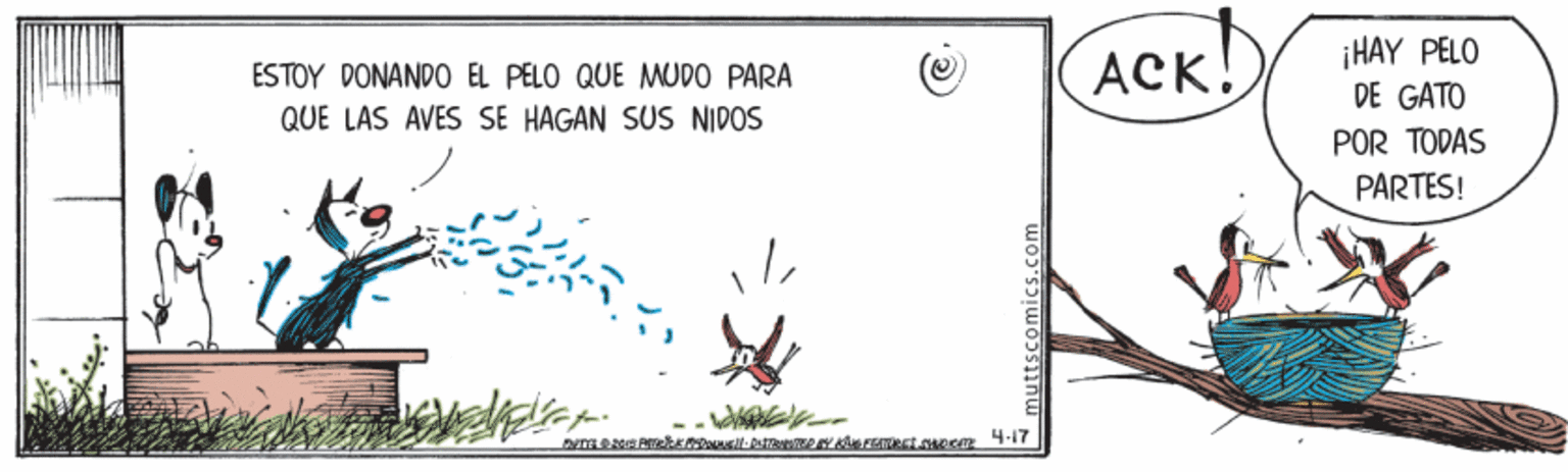 Number OCR: ¡HAY PELO ESTOY DONANDO EL PELO QUE MUDO PARA QUE LAS AVES SE HAGAN SUS NIDOS ACK! DE GATO POR TODAS PARTES! muttscomics.com ¡HAY PELO ESTOY DONANDO EL PELO QUE MUDO PARA QUE LAS AVES SE HAGAN SUS NIDOS ACK! DE GATO POR TODAS PARTES! muttscomics.com