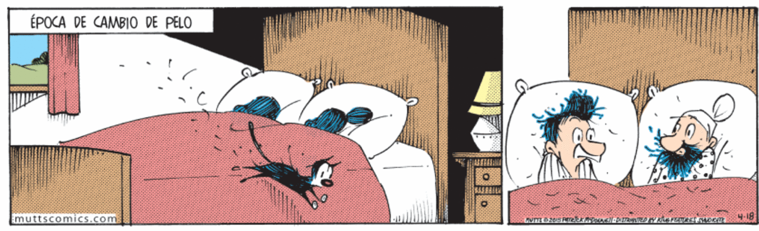 Comics OCR: ÉPOCA DE CAMBIO DE PELO muttscomics.com 4-18 ÉPOCA DE CAMBIO DE PELO muttscomics.com 4-18