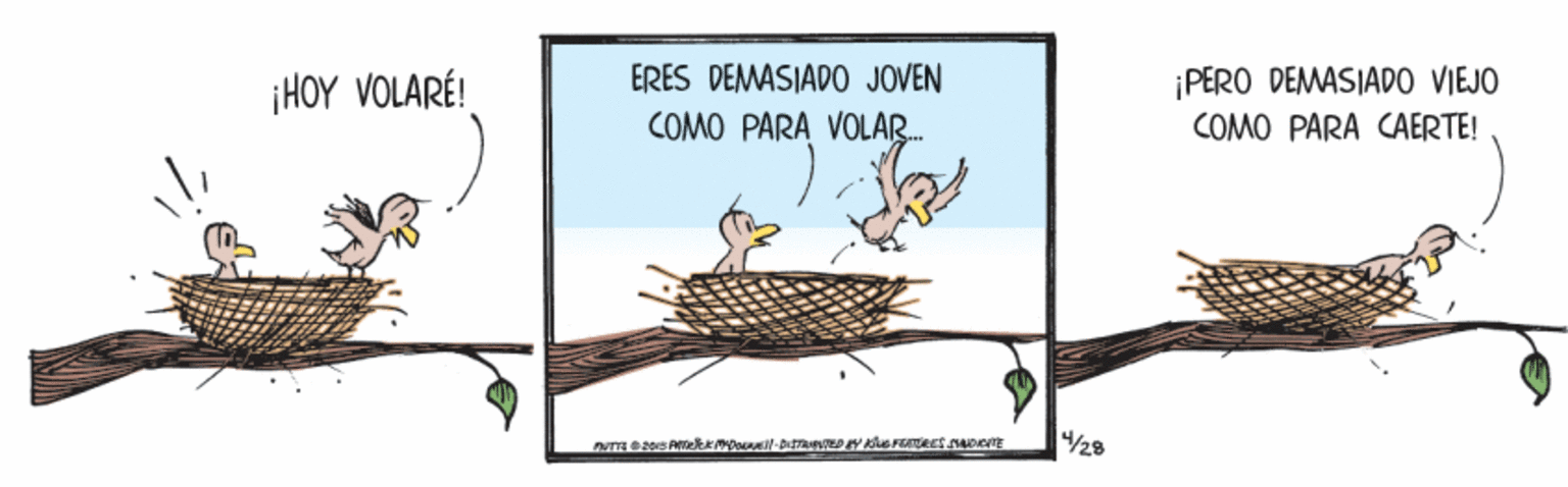 Drawing OCR: ¡HOY VOLARÉ! ERES DEMASIADO JOVEN ¡PERO DEMASIADO VIEJO COMO PARA VOLAR. COMO PARA CAERTE! ¡HOY VOLARÉ! ERES DEMASIADO JOVEN ¡PERO DEMASIADO VIEJO COMO PARA VOLAR. COMO PARA CAERTE!