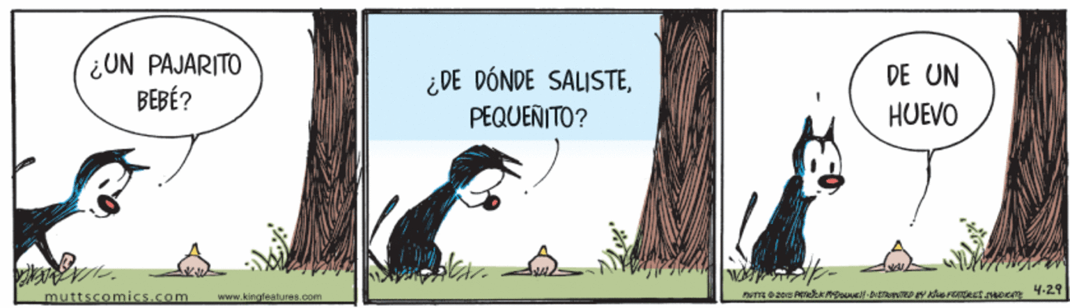 Adaptation OCR: ¿UN PAJARITO BEBÉ? DE UN ¿DE DÓNDE SALISTEPEQUENITO? HUEVO muttscomics.com www.kingfeatures.com ¿UN PAJARITO BEBÉ? DE UN ¿DE DÓNDE SALISTEPEQUENITO? HUEVO muttscomics.com www.kingfeatures.com