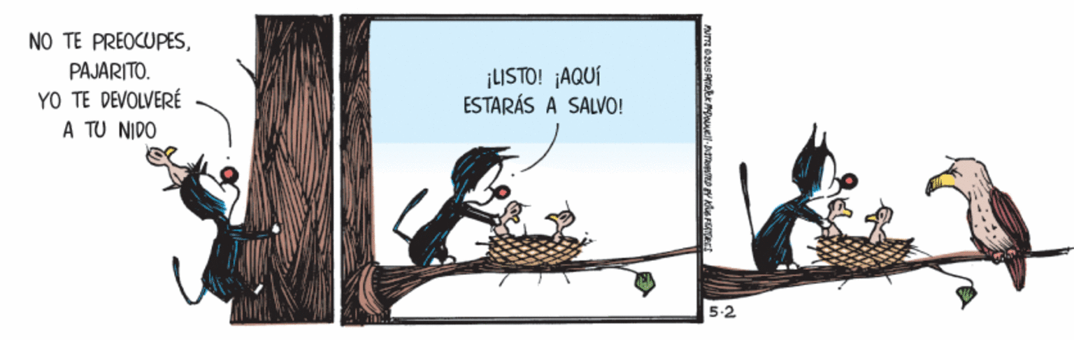 Fictional character OCR: NO TE PREOCUPESPAJARITO. YO TE DEVOLVERÉ A TU NIDO ¡ISTO! ¡AQUÍ ESTARÁS A SALVO! 5-2 NO TE PREOCUPESPAJARITO. YO TE DEVOLVERÉ A TU NIDO ¡ISTO! ¡AQUÍ ESTARÁS A SALVO! 5-2