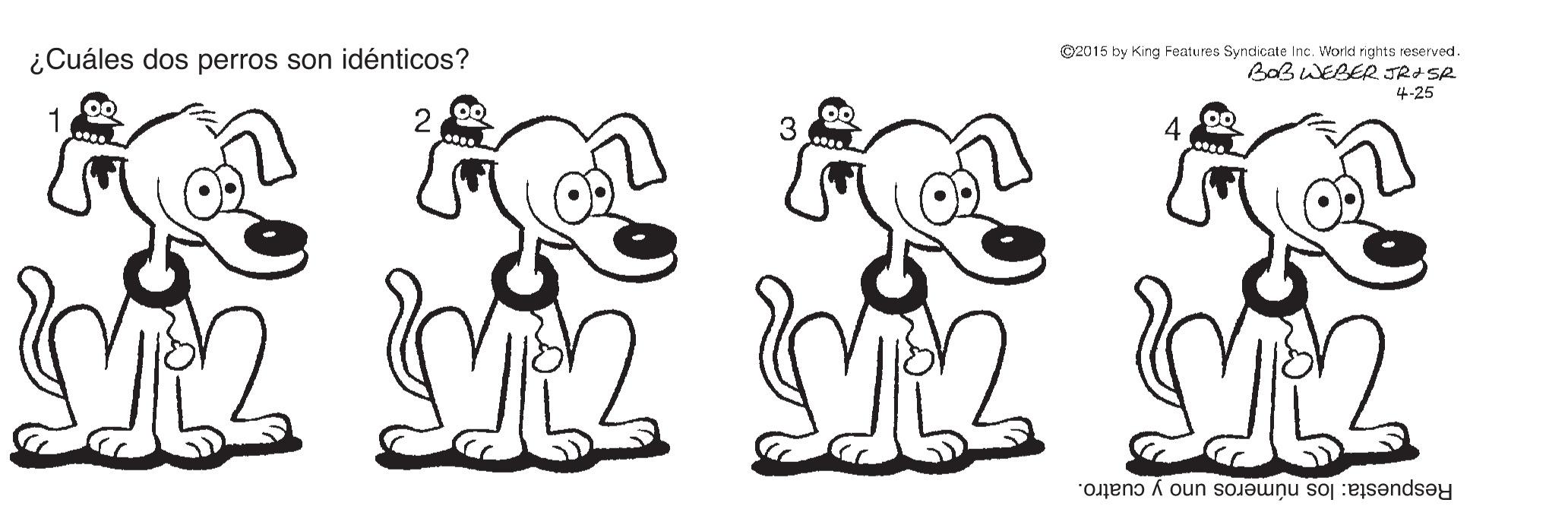 Gesture OCR: ¿Cuáles dos perros son idénticos? ©2015 by King Features Syndicate Inc. World rights reserved. BaB WEBER JRISR 4-25 1 2 3 4 Respuesta: los números uno y cuatro. ¿Cuáles dos perros son idénticos? ©2015 by King Features Syndicate Inc. World rights reserved. BaB WEBER JRISR 4-25 1 2 3 4 Respuesta: los números uno y cuatro.