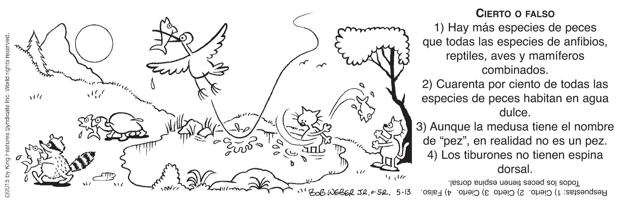 Happy OCR: CIERTO O FALSO 1) Hay más especies de peces que todas las especies de anfibiosaves y mamíferos combinados. 2) Cuarenta por ciento de todas las especies de peces habitan en agua dulce. 3) Aunque la medusa tiene el nombre de "pez"en realidad no es un pez. 4) Los tiburones no tienen espina dorsal. "BoB WERER JR5-13 Todos los peces tienen espina dorsal. Respuestas: 1) Cierto. 2) Cierto 3) Cierto. 4) Falso. O15 by King Features üyndicate Inc. Workd rights reserved. CIERTO O FALSO 1) Hay más especies de peces que todas las especies de anfibiosaves y mamíferos combinados. 2) Cuarenta por ciento de todas las especies de peces habitan en agua dulce. 3) Aunque la medusa tiene el nombre de "pez"en realidad no es un pez. 4) Los tiburones no tienen espina dorsal. "BoB WERER JR5-13 Todos los peces tienen espina dorsal. Respuestas: 1) Cierto. 2) Cierto 3) Cierto. 4) Falso. O15 by King Features üyndicate Inc. Workd rights reserved.