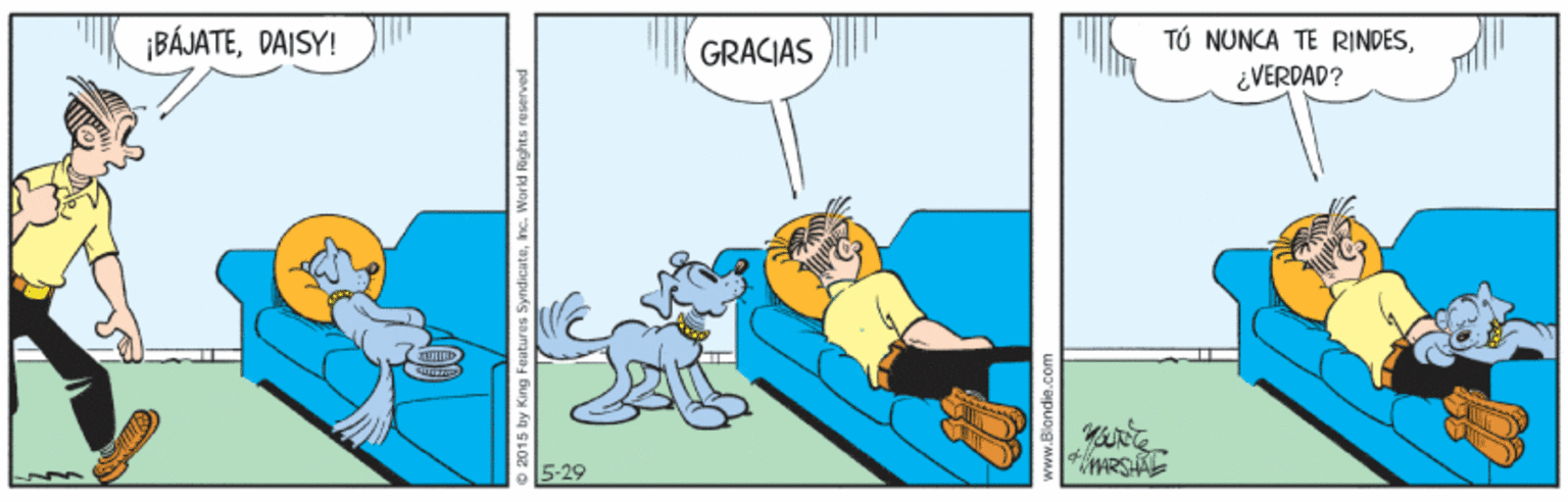 Slope OCR: ¡BÁJATEDAISY! TÚ NUNCA TE RINDES¿VERDAD? GRACIAS 5-29 o 2015 by King Features Syndicateinc. World foghts reserved www.Blondie.c ¡BÁJATEDAISY! TÚ NUNCA TE RINDES¿VERDAD? GRACIAS 5-29 o 2015 by King Features Syndicateinc. World foghts reserved www.Blondie.c