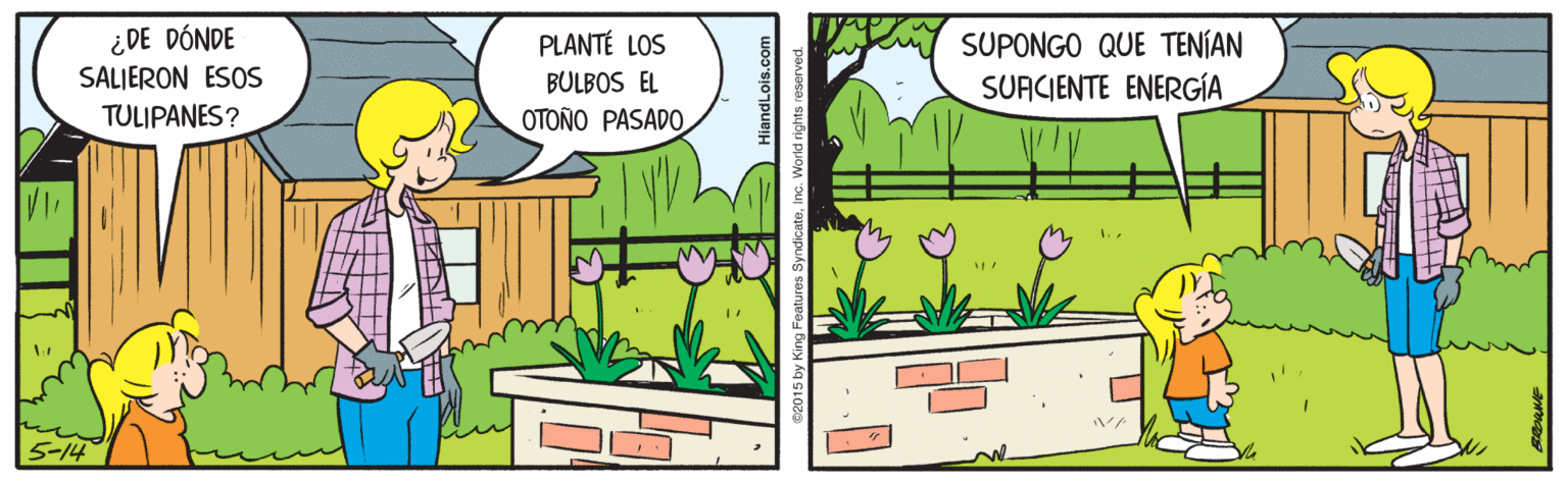 Adaptation OCR: ¿DE DÓNDE PLANTÉ LOS SUPONGO QUE TENÍAN SALIERON ESOS BULBOS EL SUACIENTE ENERGÍA TULIPANES? OTONO PASADO 1.. HiandLois.com 2015 by King Features SyndicateInc. World rights reserved ¿DE DÓNDE PLANTÉ LOS SUPONGO QUE TENÍAN SALIERON ESOS BULBOS EL SUACIENTE ENERGÍA TULIPANES? OTONO PASADO 1.. HiandLois.com 2015 by King Features SyndicateInc. World rights reserved
