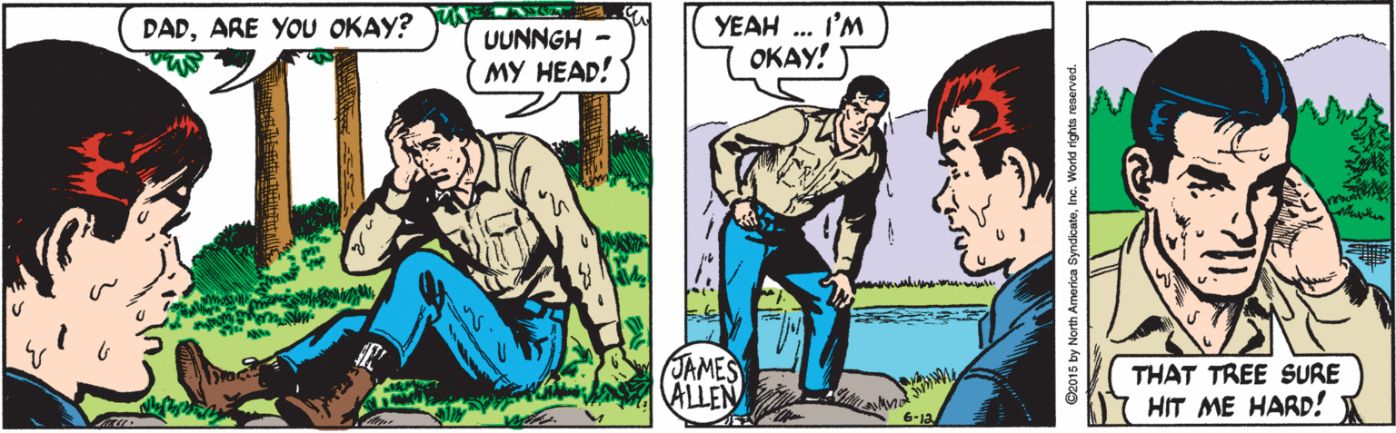 Illustration OCR: YEAH .. I'M OKAY! DADARE YOU OKAY? UUNNGH - MY HEAD! JAMES ALLEN THAT TREE SURE HIT ME HARD! 6-12 YEAH .. I'M OKAY! DADARE YOU OKAY? UUNNGH - MY HEAD! JAMES ALLEN THAT TREE SURE HIT ME HARD! 6-12