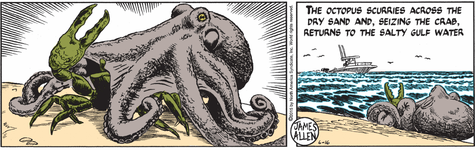 Rectangle OCR: THE OCTOPUS SCURRIES ACROSS THE DRY SAND ANDRETURNS TO THE SALTY GULF WATER JAMES ALLEN 6-16 THE OCTOPUS SCURRIES ACROSS THE DRY SAND ANDSEIZING THE CRABRETURNS TO THE SALTY GULF WATER JAMES ALLEN 6-16