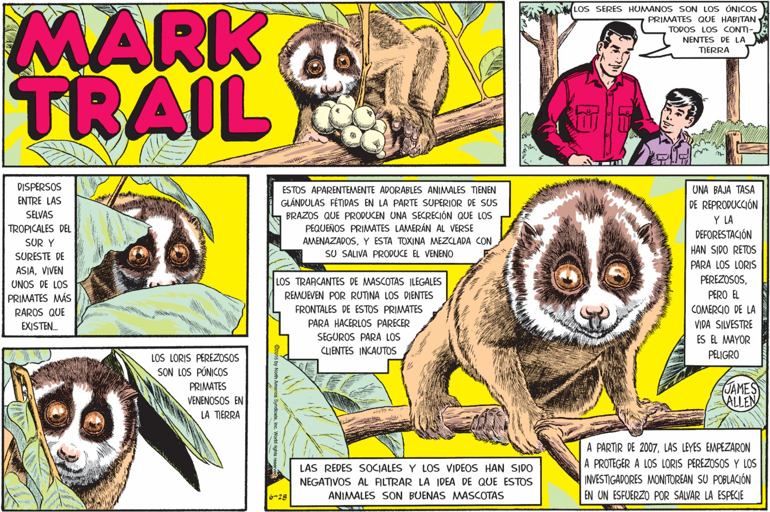 Snout OCR: MARK TRAIL LOS SERES HUMANOS SON LOS ÓNICOS PRIMATES QUE HABITAN TODOS LOS CONTI- NENTES DE LA TERRA DISPERSOS ESTOS APARENTEMENTE ADORABLES ANIMALES TIENEN UNA BAJA TASA ENTRE LAS SELVAS GLÁNDULAS FÉTIDAS EN LA PARTE SUPERIOR DE SUS BRAZOS QUE PRODUCEN UNA SECRECIÓN QUE LOS PEQUEÑOS PRIMATES LAMERÁN AL VERSE DE REPRODUCCIÓN Y LA DEFORESTACIÓN TROPICALES DEL SUR Y SURESTE DE AMENAZADOSY ESTA TOXINA MEZCLADA CON SU SALIVA PRODUCE EL VENENO HAN SIDO RETOS PARA LOS LORIS ASIAVIVEN UNOS DE LOS PRIMATES MÁS RAROS QUE EXISTEN. LOS TRARCANTES DE MASCOTAS ILEGALES PEREZOSOSPERO EL REMUEVEN POR RUTINA LOS DIENTES FRONTALES DE ESTOS PRIMATES PARA HACERLOS PARECER COMERCIO DE LA VIDA SILVESTRE SEGUROS PARA LOS ES EL MAYOR CLIENTES INCAUTOS PELIGRO LOS LORIS PEREZOSOS SON LOS PÚNICOS JAMES ALLEN PRIMATES VENENOSOS EN LA TERRA A PARTIR DE 2007LAS LEYES EMPEZARON A PROTEGER A LOS LORIS PEREZOSOS Y LOS INVESTIGADORES MONITOREAN SU POBLACIÓN EN UN ESFUERZO POR SALVAR LA ESPECIE LAS REDES SOCIALES Y LOS VIDEOS HAN SIDO NEGATIVOS AL AILTRAR LA IDEA DE QUE ESTOS é-28 ANIMALES SON BUENAS MASCOTAS MARK TRAIL LOS SERES HUMANOS SON LOS ÓNICOS PRIMATES QUE HABITAN TODOS LOS CONTI- NENTES DE LA TERRA DISPERSOS ESTOS APARENTEMENTE ADORABLES ANIMALES TIENEN UNA BAJA TASA ENTRE LAS SELVAS GLÁNDULAS FÉTIDAS EN LA PARTE SUPERIOR DE SUS BRAZOS QUE PRODUCEN UNA SECRECIÓN QUE LOS PEQUEÑOS PRIMATES LAMERÁN AL VERSE DE REPRODUCCIÓN Y LA DEFORESTACIÓN TROPICALES DEL SUR Y SURESTE DE AMENAZADOSY ESTA TOXINA MEZCLADA CON SU SALIVA PRODUCE EL VENENO HAN SIDO RETOS PARA LOS LORIS ASIAVIVEN UNOS DE LOS PRIMATES MÁS RAROS QUE EXISTEN. LOS TRARCANTES DE MASCOTAS ILEGALES PEREZOSOSPERO EL REMUEVEN POR RUTINA LOS DIENTES FRONTALES DE ESTOS PRIMATES PARA HACERLOS PARECER COMERCIO DE LA VIDA SILVESTRE SEGUROS PARA LOS ES EL MAYOR CLIENTES INCAUTOS PELIGRO LOS LORIS PEREZOSOS SON LOS PÚNICOS JAMES ALLEN PRIMATES VENENOSOS EN LA TERRA A PARTIR DE 2007LAS LEYES EMPEZARON A PROTEGER A LOS LORIS PEREZOSOS Y LOS INVESTIGADORES MONITOREAN SU POBLACIÓN EN UN ESFUERZO POR SALVAR LA ESPECIE LAS REDES SOCIALES Y LOS VIDEOS HAN SIDO NEGATIVOS AL AILTRAR LA IDEA DE QUE ESTOS é-28 ANIMALES SON BUENAS MASCOTAS