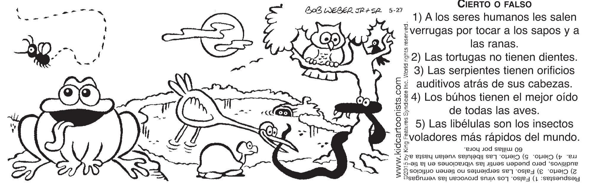 Jaw OCR: CIERTO O FALSO BaB WEBER JRSR 5-27 1) A los seres humanos les salen verrugas por tocar a los sapos y a las ranas. 2) Las tortugas no tienen dientes. 3) Las serpientes tienen orificios auditivos atrás de sus cabezas. 4) Los búhos tienen el mejor oído de todas las aves. 5) Las libélulas son los insectos voladores más rápidos del mundo. 60 millas por hora. rra. 4) Cierto. 5) Cierto. Las libélulas vuelan hasta ag auditivospero pueden sentir las vibraciones en la tie-o 2) Cierto. 3) Falso. Las serpientes no tienen orificios 8 Respuestas: 1) Falso. Los virus provocan las verrugas CIERTO O FALSO BaB WEBER JRSR 5-27 1) A los seres humanos les salen verrugas por tocar a los sapos y a las ranas. 2) Las tortugas no tienen dientes. 3) Las serpientes tienen orificios auditivos atrás de sus cabezas. 4) Los búhos tienen el mejor oído de todas las aves. 5) Las libélulas son los insectos voladores más rápidos del mundo. 60 millas por hora. rra. 4) Cierto. 5) Cierto. Las libélulas vuelan hasta ag auditivospero pueden sentir las vibraciones en la tie-o 2) Cierto. 3) Falso. Las serpientes no tienen orificios 8 Respuestas: 1) Falso. Los virus provocan las verrugas
