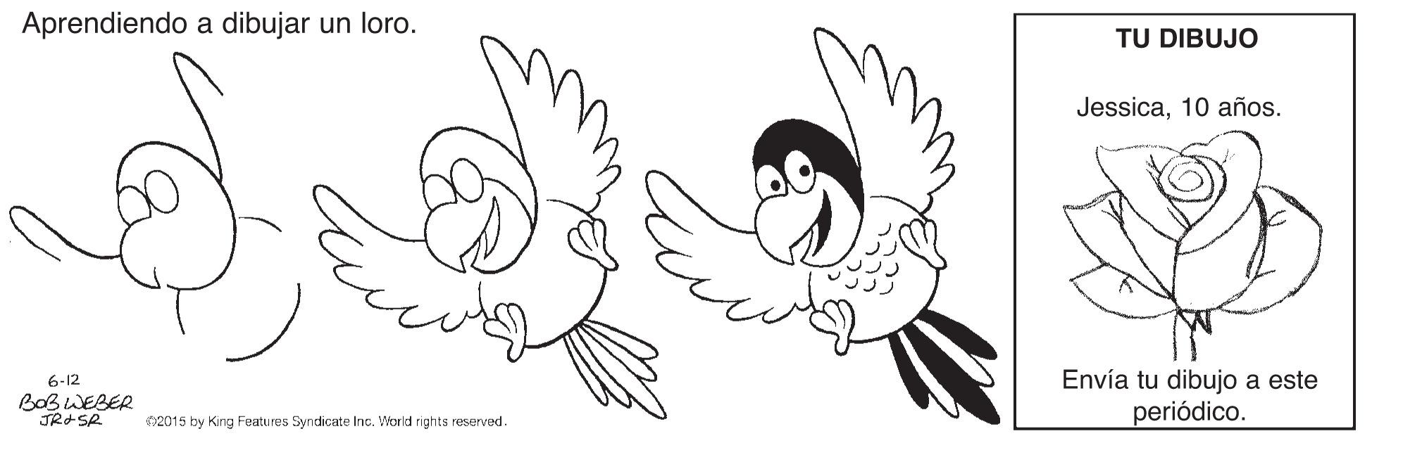 Art OCR: Aprendiendo a dibujar un loro. TU DIBUJO Jessica10 años. Envía tu dibujo a este periódico. 6-12 BoB WEBER JR SR 02015 by King Features Syndicate Inc. World rights reserved. Aprendiendo a dibujar un loro. TU DIBUJO Jessica10 años. Envía tu dibujo a este periódico. 6-12 BoB WEBER JR SR 02015 by King Features Syndicate Inc. World rights reserved.