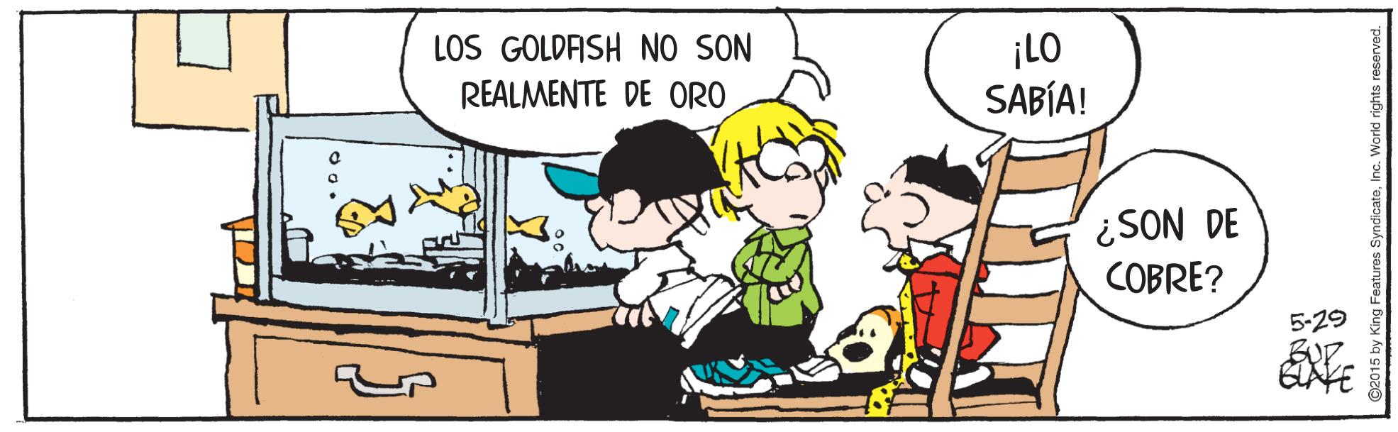 Mode of transport OCR: LOS GOLDASH NO SON REALMENTE DE ORO ¡LO SABÍA! ¿SON DE COBRE? 5-29 LOS GOLDASH NO SON REALMENTE DE ORO ¡LO SABÍA! ¿SON DE COBRE? 5-29