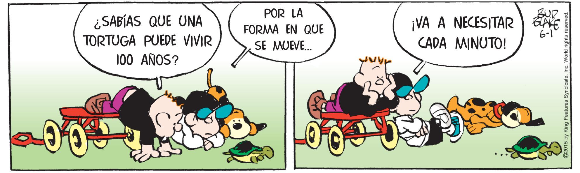 Illustration OCR: POR LA ¿SABÍAS QUE UNA TORTUGA PUEDE VIVIR 100 AÑOS? ¡VA A NECESITAR CADA MINUTO! FORMA EN QUE SE MUEVE. POR LA ¿SABÍAS QUE UNA TORTUGA PUEDE VIVIR 100 AÑOS? ¡VA A NECESITAR CADA MINUTO! FORMA EN QUE SE MUEVE.