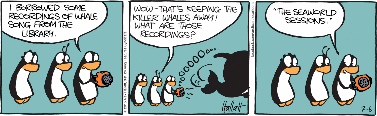 Handwriting OCR: I BORROWED SOME RECORDINGS OF WHALE SONG FROM THE UBRARY. WOw-THAT'S KEEPING THE KILLER WHALES AWAY! WHAT ARE THOSE RECORDINGS? "THE SEAWORLD SESSIONS." Hallat 7-6 0000 I BORROWED SOME RECORDINGS OF WHALE SONG FROM THE UBRARY. WOw-THAT'S KEEPING THE KILLER WHALES AWAY! WHAT ARE THOSE RECORDINGS? "THE SEAWORLD SESSIONS." Hallat 7-6 0000