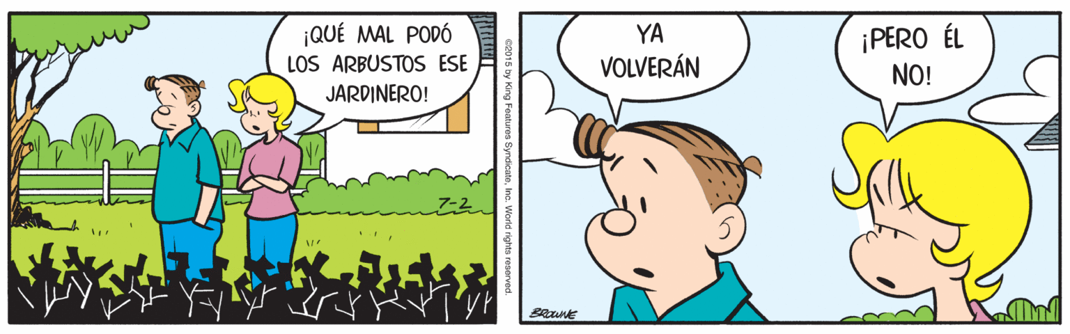 Art OCR: ¡QUÉ MAL PODÓ LOS ARBUSTOS ESE YA ¡PERO ÉL NO! VOLVERÁN JARDINERO! ¡QUÉ MAL PODÓ LOS ARBUSTOS ESE YA ¡PERO ÉL NO! VOLVERÁN JARDINERO!