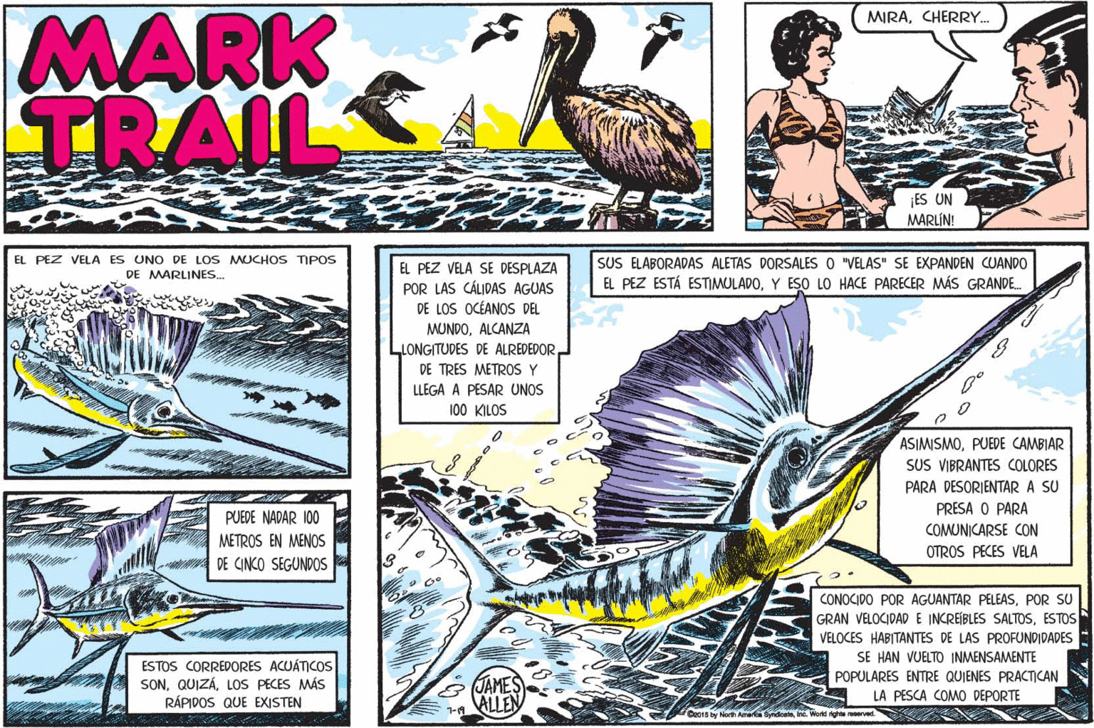 Slope OCR: MARK MIRACHERRY. TRAIL S ¡ES UN MARLÍN! EL PEZ VELA ES UNO DE LOS MUCHOS TIPOS DE MARLINES. EL PEZ VELA SE DESPLAZA POR LAS CÁLIDAS AGUAS DE LOS OCÉANOS DEL SUS ELABORADAS ALETAS DORSALES o "VELAS" SE EXPANDEN CUANDO EL PEZ ESTÁ ESTIMULADOY ESO LO HACE PARECER MÁS GRANDE. MUNDOALCANZA LONGITUDES DE ALREDEDOR DE TRES METROS Y LLEGA A PESAR UNOS 100 KILOS ASIMISMOPUEDE CAMBIAR SUS VIBRANTES COLORES PARA DESORIENTAR A SU PRESA O PARA PUEDE NADAR 100 COMUNICARSE CON METROS EN MENOS OTROS PECES VELA DE CINCO SEGUNDOS CONOCIDO POR AGUANTAR PELEASPOR SU GRAN VELOCIDAD E INCREIBLES SALTOSESTOS VELOCES HABITANTES DE LAS PROFUNDIDADES SE HAN VUELTO INMENSAMENTE ESTOS CORREDORES ACUÁTICOS SONLOS PECES MÁS RÁPIDOS QUE EXISTEN JAMES ALLEN POPULARES ENTRE QUIENES PRACTICAN LA PESCA COMO DEPORTE 1-1 De015 by North Ame SedceteIne Wortt rgheerve MARK MIRACHERRY. TRAIL S ¡ES UN MARLÍN! EL PEZ VELA ES UNO DE LOS MUCHOS TIPOS DE MARLINES. EL PEZ VELA SE DESPLAZA POR LAS CÁLIDAS AGUAS DE LOS OCÉANOS DEL SUS ELABORADAS ALETAS DORSALES o "VELAS" SE EXPANDEN CUANDO EL PEZ ESTÁ ESTIMULADOY ESO LO HACE PARECER MÁS GRANDE. MUNDOALCANZA LONGITUDES DE ALREDEDOR DE TRES METROS Y LLEGA A PESAR UNOS 100 KILOS ASIMISMOPUEDE CAMBIAR SUS VIBRANTES COLORES PARA DESORIENTAR A SU PRESA O PARA PUEDE NADAR 100 COMUNICARSE CON METROS EN MENOS OTROS PECES VELA DE CINCO SEGUNDOS CONOCIDO POR AGUANTAR PELEASPOR SU GRAN VELOCIDAD E INCREIBLES SALTOSESTOS VELOCES HABITANTES DE LAS PROFUNDIDADES SE HAN VUELTO INMENSAMENTE ESTOS CORREDORES ACUÁTICOS SONLOS PECES MÁS RÁPIDOS QUE EXISTEN JAMES ALLEN POPULARES ENTRE QUIENES PRACTICAN LA PESCA COMO DEPORTE 1-1 De015 by North Ame SedceteIne Wortt rgheerve