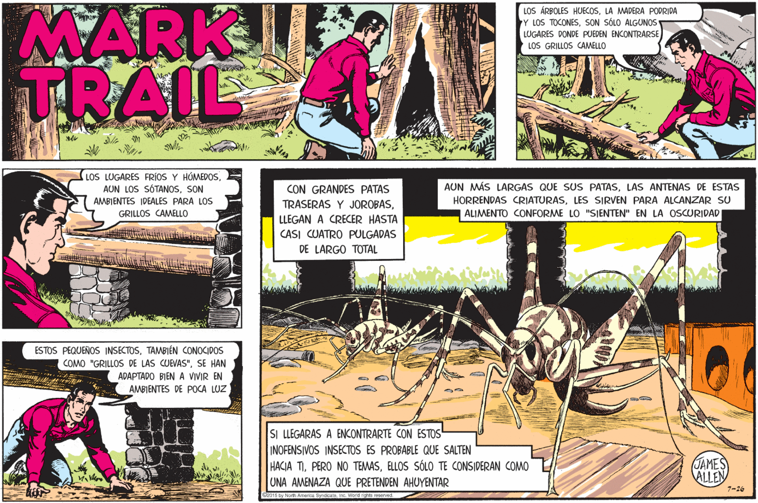 Art OCR: MARKJIE TRAIL LOS ÁRBOLES HUECOSLA MADERA PODRIDA Y LOS TOCONESSON SÓLO ALGUNOS LUGARES DONDE PUEDEN ENCONTRARSE LOS GRILLOS CAMELLO LOS LUGARES FRÍOS Y HÓMEDOSSON AMBIENTES IDEALES PARA LOs GRILLOS CAMELLO AUN MÁS LARGAS QUE SUS PATASLAS ANTENAS DE ESTAS CON GRANDES PATAS TRASERAS Y JOROBASLES SIRVEN PARA ALCANZAR SU ALIMENTO CONFORME LO "SIENTEN" EN LA OSCURIDAD LLEGAN A CRECER HASTA CASI CUATRO PULGADAS DE LARGO TOTAL ESTOS PEQUEÑOS INSECTOSTAMBIÉN CONOCIDOS COMO "GRILLOS DE LAS CUEVAS"SE HAN ADAPTADO BIEN A VIVIR EN AMBIENTES DE POCA LUZ SI LLEGARAS A ENCONTRARTE CON ESTOS INOFENSIVOS INSECTOS ES PROBABLE QUE SALTEN HACIA TIELLOS SÓLO TE CONSIDERAN COMO UNA AMENAZA QUE PRETENDEN AHUYENTAR JAMES ALLEN 7-26 CR015 by MARKJIE TRAIL LOS ÁRBOLES HUECOSLA MADERA PODRIDA Y LOS TOCONESSON SÓLO ALGUNOS LUGARES DONDE PUEDEN ENCONTRARSE LOS GRILLOS CAMELLO LOS LUGARES FRÍOS Y HÓMEDOSAUN LOS SÓTANOSSON AMBIENTES IDEALES PARA LOs GRILLOS CAMELLO AUN MÁS LARGAS QUE SUS PATASLAS ANTENAS DE ESTAS CON GRANDES PATAS TRASERAS Y JOROBASHORRENDAS CRIATURASLES SIRVEN PARA ALCANZAR SU ALIMENTO CONFORME LO "SIENTEN" EN LA OSCURIDAD LLEGAN A CRECER HASTA CASI CUATRO PULGADAS DE LARGO TOTAL ESTOS PEQUEÑOS INSECTOSTAMBIÉN CONOCIDOS COMO "GRILLOS DE LAS CUEVAS"SE HAN ADAPTADO BIEN A VIVIR EN AMBIENTES DE POCA LUZ SI LLEGARAS A ENCONTRARTE CON ESTOS INOFENSIVOS INSECTOS ES PROBABLE QUE SALTEN HACIA TIPERO NO TEMASELLOS SÓLO TE CONSIDERAN COMO UNA AMENAZA QUE PRETENDEN AHUYENTAR JAMES ALLEN 7-26 CR015 by