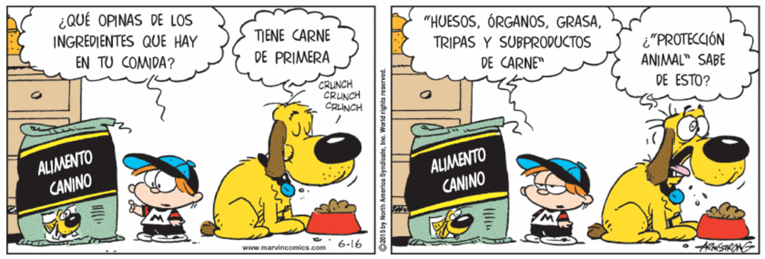 Font OCR: ¿QUÉ OPINAS DE LOS INGREDIENTES QUE HAY "HUESOSTRIPAS Y SUBPRODUCTOS TIENE CARNE EN TU COMIDA? ¿"PROTECCIÓN ANIMAL" SABE DE PRIMERA DE CARNE" CRUNCH CRUNCH CRUNCH DE ESTO? ALIMENTO CANINO ALIMENTO CANINO wwww.marvincomics.com 6-16 ASONG 15by North America Syndisatei ¿QUÉ OPINAS DE LOS INGREDIENTES QUE HAY "HUESOSTRIPAS Y SUBPRODUCTOS TIENE CARNE EN TU COMIDA? ¿"PROTECCIÓN ANIMAL" SABE DE PRIMERA DE CARNE" CRUNCH CRUNCH CRUNCH DE ESTO? ALIMENTO CANINO ALIMENTO CANINO wwww.marvincomics.com 6-16 ASONG 15by North America Syndisate