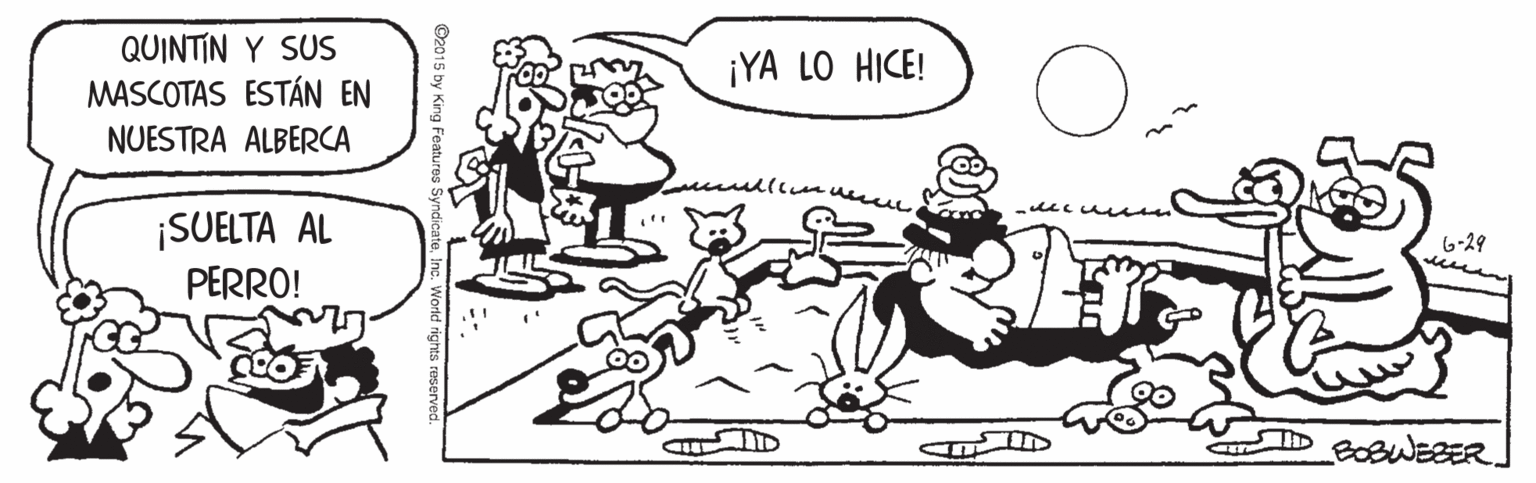 Style OCR: QUINTIN Y SUS MASCOTAS ESTÁN EN ¡YA LO HICE! NUESTRA ALBERCA ¡SUELTA AL 6-29 PERRO! BOBWEBER. QUINTIN Y SUS MASCOTAS ESTÁN EN ¡YA LO HICE! NUESTRA ALBERCA ¡SUELTA AL 6-29 PERRO! BOBWEBER.