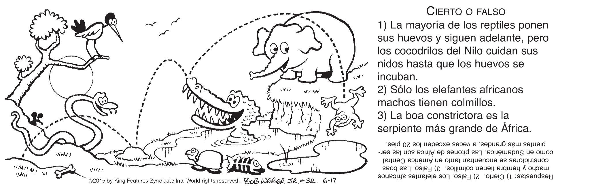 Handwriting OCR: CIERTO O FALSO 1) La mayoría de los reptiles ponen sus huevos y siguen adelantepero los cocodrilos del Nilo cuidan sus nidos hasta que los huevos se incuban. 2) Sólo los elefantes africanos machos tienen colmillos. 3) La boa constrictora es la serpiente más grande de África. pientes más grandesa veces exceden los 20 pies. como en Sudamérica. Las pitones de África son las ser- constrictoras se encuentran tanto en América Central MII MI V macho y hembra tienen colmillos. 3) Falso. Las boas Respuestas: 1) Cierto. 2) Falso. Los elefantes africanos 2015 by King Features Syndicate Inc. Workd rights reserved. Bob WEBER JR.+ SR. 6-17 CIERTO O FALSO 1) La mayoría de los reptiles ponen sus huevos y siguen adelantepero los cocodrilos del Nilo cuidan sus nidos hasta que los huevos se incuban. 2) Sólo los elefantes africanos machos tienen colmillos. 3) La boa constrictora es la serpiente más grande de África. pientes más grandesa veces exceden los 20 pies. como en Sudamérica. Las pitones de África son las ser- constrictoras se encuentran tanto en América Central MII MI V macho y hembra tienen colmillos. 3) Falso. Las boas Respuestas: 1) Cierto. 2) Falso. Los elefantes africanos 2015 by King Features Syndicate Inc. Workd rights reserved. Bob WEBER JR.+ SR. 6-17