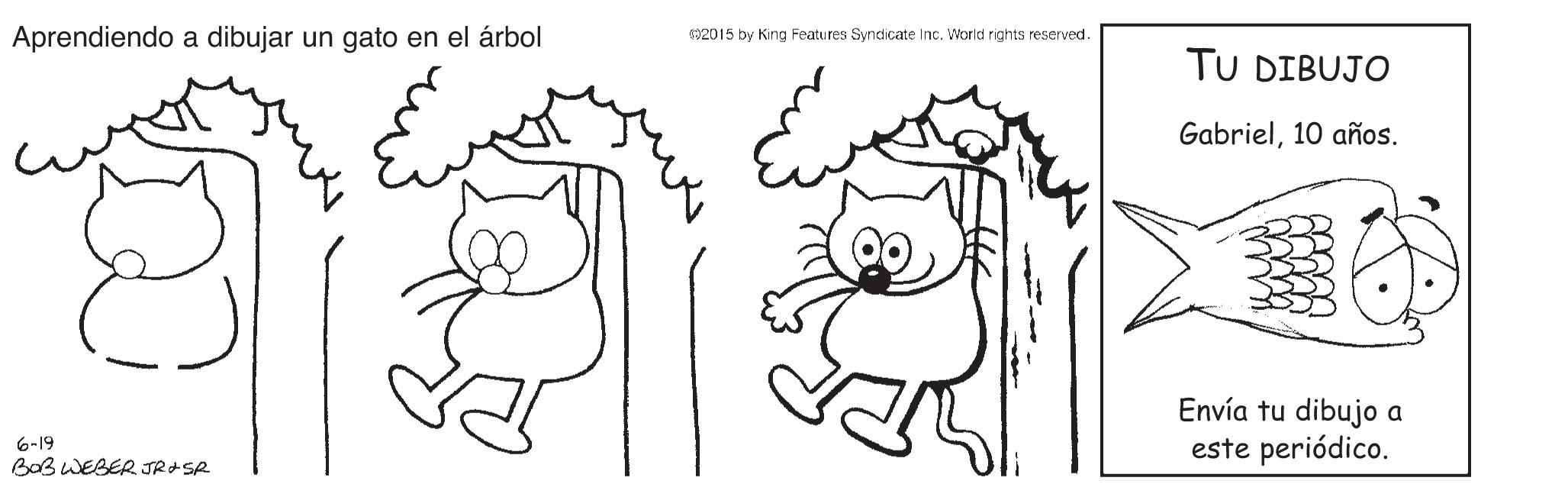 Rectangle OCR: Aprendiendo a dibujar un gato en el árbol 2015 by King Features Syndicate Inc. World rights reserved. TU DIBUJO Gabriel10 años. Envía tu dibujo a este periódico. 6-19 BaB WEBER JR+SR Aprendiendo a dibujar un gato en el árbol 2015 by King Features Syndicate Inc. World rights reserved. TU DIBUJO Gabriel10 años. Envía tu dibujo a este periódico. 6-19 BaB WEBER JR+SR
