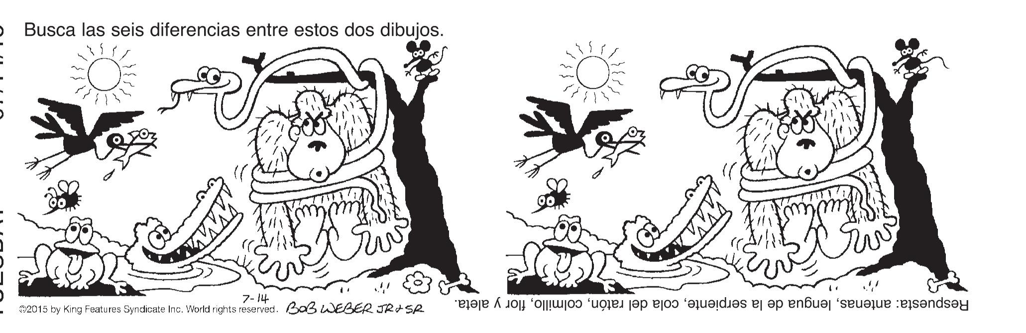 Happy OCR: Busca las seis diferencias entre estos dos dibujos. 7- 14 2015 by King Features Syndicate Inc. World rights reserved. Ba3WEBER JRISR Respuesta: antenasflor y aleta. Busca las seis diferencias entre estos dos dibujos. 7- 14 2015 by King Features Syndicate Inc. World rights reserved. Ba3WEBER JRISR Respuesta: antenaslengua de la serpientecola del ratónflor y aleta.