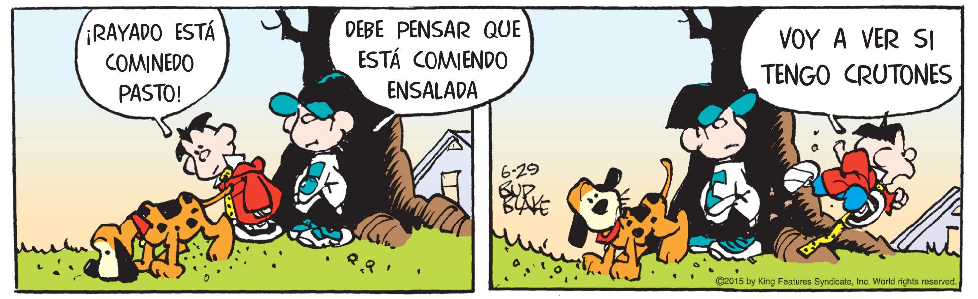 Rectangle OCR: IRAYADO ESTÁ COMINEDO DEBE PENSAR QUE ESTÁ COMIEND0 ?OY A VER SI TENGO CRUTONES PASTO! ENSALADA 6-29 BUR ©2015 by King Features SyndicateInc. World rights reserved. IRAYADO ESTÁ COMINEDO DEBE PENSAR QUE ESTÁ COMIEND0 ?OY A VER SI TENGO CRUTONES PASTO! ENSALADA 6-29 BUR ©2015 by King Features SyndicateInc. World rights reserved.