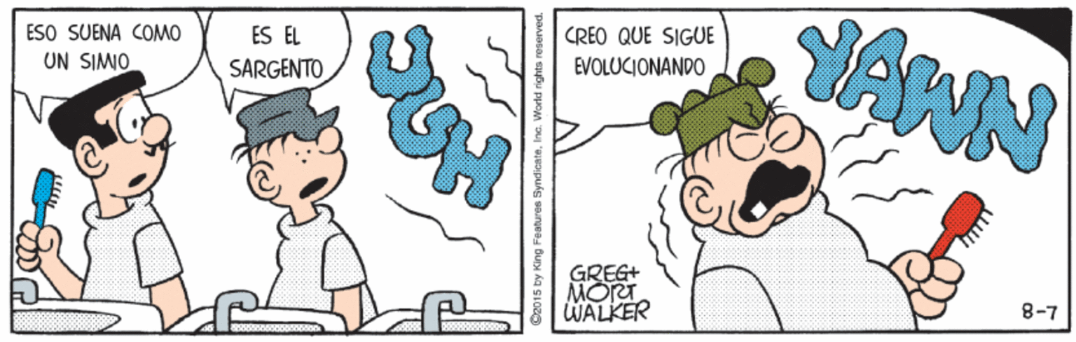 Mammal OCR: HAWN CREO QUE SIGUE ESO SUENA COMO UN SIMIO ES ÉL EVOLUCIONANDO SARGENTO GREG+ MORT WALKER 8-7 G2015 by King Features Syndicate HAWN CREO QUE SIGUE ESO SUENA COMO UN SIMIO ES ÉL EVOLUCIONANDO SARGENTO GREG+ MORT WALKER 8-7 G2015 by King Features Syndicate