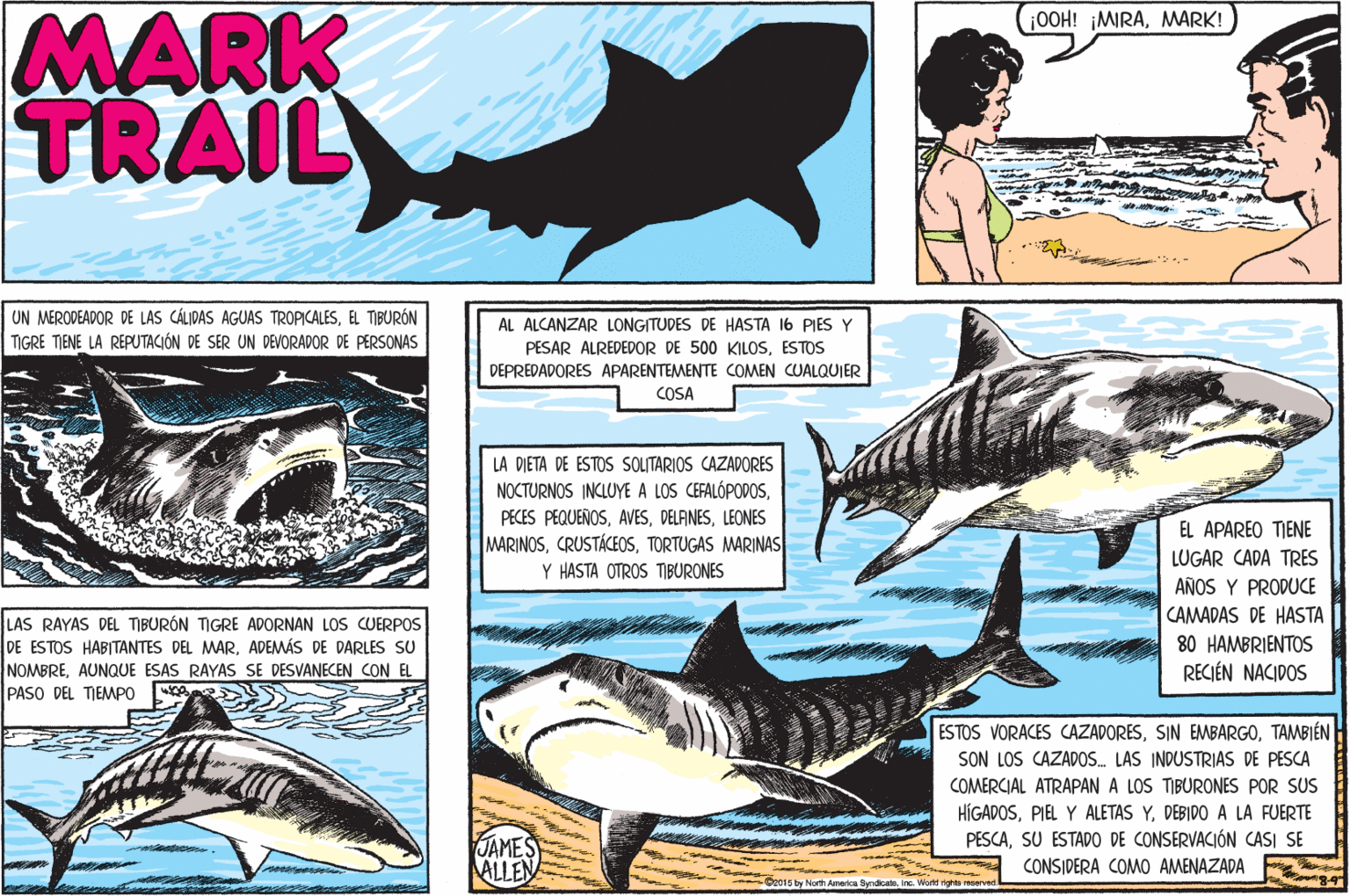 Fish OCR: MARK TRAIL jOOH! ¡MIRAMARK! UN MERODEADOR DE LAS CÁLIDAS AGUAS TROPICALESEL TIBURÓN AL ALCANZAR LONGITUDES DE HASTA 16 PIES Y TIGRE TIENE LA REPUTACIÓN DE SER UN DEVORADOR DE PERSONAS PESAR ALREDEDOR DE 500 KILOSESTOS DEPREDADORES APARENTEMENTE COMEN CUALQUIER COSA LA DIETA DE ESTOS SOLITARIOS CAZADORES NOCTURNOS INCLUYE A LOS CEFALÓPODOSLEONES MARINOSTORTUGAS MARINAS EL APAREO TIENE LUGAR CADA TRES AÑOS Y PRODUCE Y HASTA OTROS TIBURONES LAS RAYAS DEL TIBURÓN TIGRE ADORNAN LOS CUERPOS DE ESTOS HABITANTES DEL MARADEMÁS DE DARLES SU NOMBREAUNQUE ESAS RAYAS SE DESVANECEN CON EL PASO DEL TIEMMPO CAMADAS DE HASTA 80 HAMBRIENTOS RECIÉN NACIDOS ESTOS VORACES CAZADORESTAMBIÉN SON LOS CAZADOS. LAS INDUSTRIAS DE PESCA COMERCIAL ATRAPAN A LOS TIBURONES POR SUS HÍGADOSDEBIDO A LA FUERTE PESCASU ESTADO DE CONSERVACIÓN CASI SE JAMES ALLEN CONSIDERA COMO AMENAZADA y North Armerica Syrdicate Ine. Woetd ighta reservei MARK TRAIL jOOH! ¡MIRAMARK! UN MERODEADOR DE LAS CÁLIDAS AGUAS TROPICALESEL TIBURÓN AL ALCANZAR LONGITUDES DE HASTA 16 PIES Y TIGRE TIENE LA REPUTACIÓN DE SER UN DEVORADOR DE PERSONAS PESAR ALREDEDOR DE 500 KILOSESTOS DEPREDADORES APARENTEMENTE COMEN CUALQUIER COSA LA DIETA DE ESTOS SOLITARIOS CAZADORES NOCTURNOS INCLUYE A LOS CEFALÓPODOSPECES PEQUEÑOSLEONES MARINOSTORTUGAS MARINAS EL APAREO TIENE LUGAR CADA TRES AÑOS Y PRODUCE Y HASTA OTROS TIBURONES LAS RAYAS DEL TIBURÓN TIGRE ADORNAN LOS CUERPOS DE ESTOS HABITANTES DEL MARADEMÁS DE DARLES SU NOMBREAUNQUE ESAS RAYAS SE DESVANECEN CON EL PASO DEL TIEMMPO CAMADAS DE HASTA 80 HAMBRIENTOS RECIÉN NACIDOS ESTOS VORACES CAZADORESSIN EMBARGOTAMBIÉN SON LOS CAZADOS. LAS INDUSTRIAS DE PESCA COMERCIAL ATRAPAN A LOS TIBURONES POR SUS HÍGADOSPIEL Y ALETAS YDEBIDO A LA FUERTE PESCASU ESTADO DE CONSERVACIÓN CASI SE JAMES ALLEN CONSIDERA COMO AMENAZADA y North Armerica Syrdicate Ine. Woetd ighta reservei