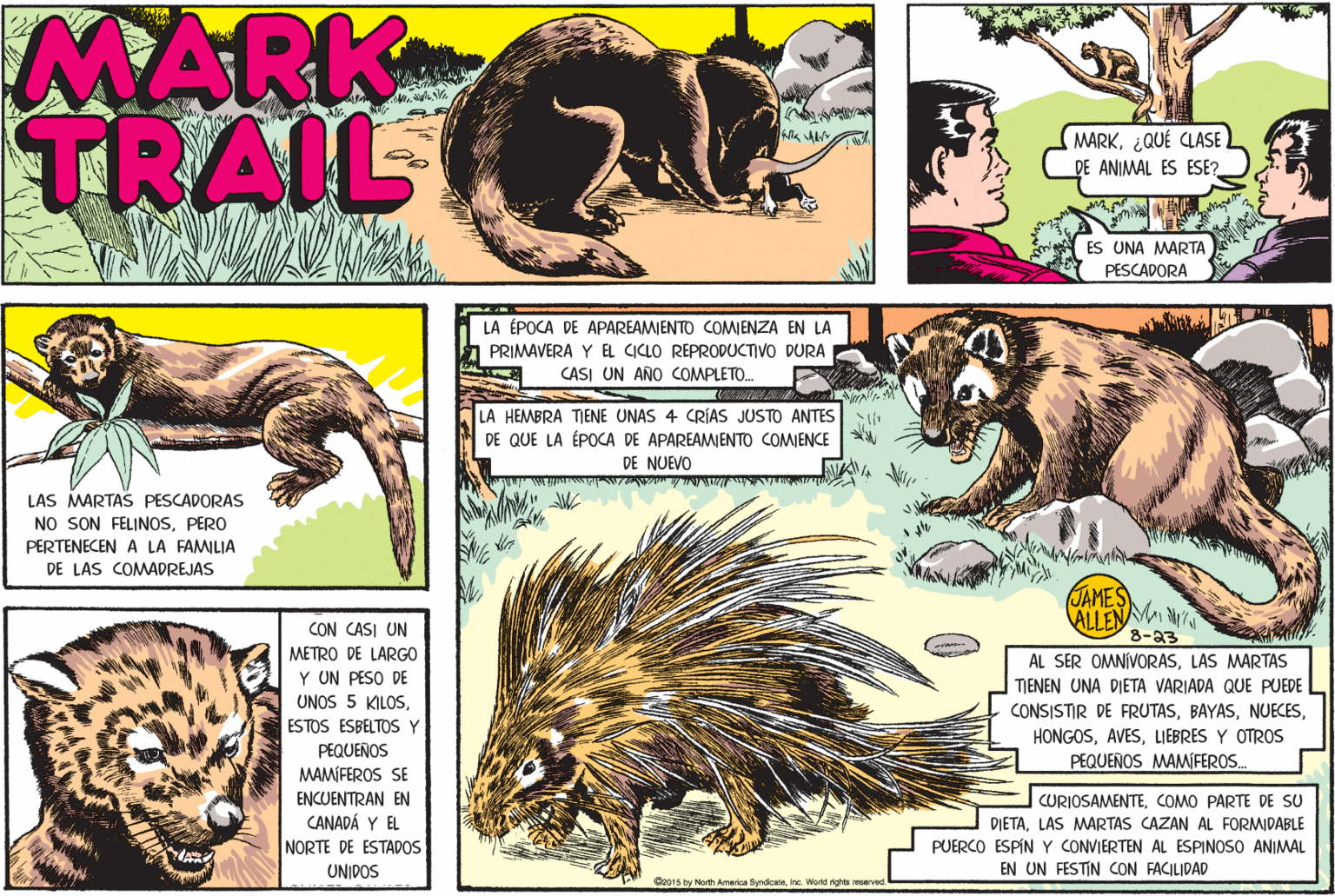 Wildlife OCR: MARK TRAIL MARK¿QUÉ CLASE DE ANIMAL ES ESE? ES UNA MARTA PESCADORA LA ÉPOCA DE APAREAMIENTO COMIENZA EN LA PRIMAVERA Y EL CICLO REPRODUCTVO DURA CASI UN AÑO COMPLETO. LA HEMBRA TIENE UNAS 4 CRÍAS JUSTO ANTES DE QUE LA ÉPOCA DE APAREAMIENTO COMIENCE DE NUEVO LAS MARTAS PESCADORAS NO SON FELINOSPERO PERTENECEN A LA FAMILIA DE LAS COMADREJAS CON CASI UN METRO DE LARGO Y UN PESO DE UNOS 5 KILOSJAMES ALLENM 8-23 AL SER OMNÍVORASLAS MARTAS TJENEN UNA DIETA VARIADA QUE PUEDE CONSISTIR DE FRUTASLIEBRES Y OTROS PEQUEÑOS MAMIFERO.. ESTOS ESBELTOS Y PEQUEÑOS MAMÍFEROS SE CURIOSAMENTECOMO PARTE DE SU ENCUENTRAN EN CANADÁ Y EL NORTE DE ESTADOS DIETALAS MARTAS CAZAN AL FORMIDABLE PUERCO ESPÍN Y CONVIERTEN AL ESPINOSO ANIMMAL EN UN FESTIN CON FACILIDAD UNIDOS Geors by North Amerka SyrdcateInc. World righte reserved MARK TRAIL MARK¿QUÉ CLASE DE ANIMAL ES ESE? ES UNA MARTA PESCADORA LA ÉPOCA DE APAREAMIENTO COMIENZA EN LA PRIMAVERA Y EL CICLO REPRODUCTVO DURA CASI UN AÑO COMPLETO. LA HEMBRA TIENE UNAS 4 CRÍAS JUSTO ANTES DE QUE LA ÉPOCA DE APAREAMIENTO COMIENCE DE NUEVO LAS MARTAS PESCADORAS NO SON FELINOSPERO PERTENECEN A LA FAMILIA DE LAS COMADREJAS CON CASI UN METRO DE LARGO Y UN PESO DE UNOS 5 KILOSJAMES ALLENM 8-23 AL SER OMNÍVORASLAS MARTAS TJENEN UNA DIETA VARIADA QUE PUEDE CONSISTIR DE FRUTASLIEBRES Y OTROS PEQUEÑOS MAMIFERO.. ESTOS ESBELTOS Y PEQUEÑOS MAMÍFEROS SE CURIOSAMENTECOMO PARTE DE SU ENCUENTRAN EN CANADÁ Y EL NORTE DE ESTADOS DIETALAS MARTAS CAZAN AL FORMIDABLE PUERCO ESPÍN Y CONVIERTEN AL ESPINOSO ANIMMAL EN UN FESTIN CON FACILIDAD UNIDOS Geors by North Amerka SyrdcateInc. World righte reserved