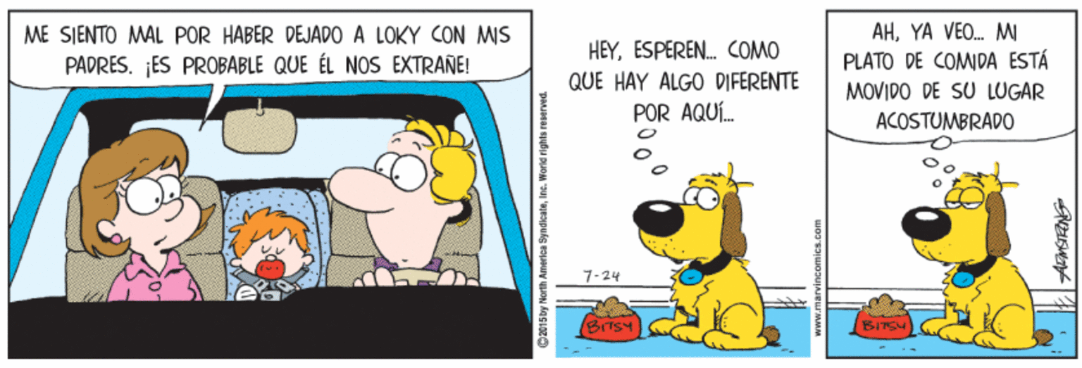 Pleased OCR: ME SJENTO MAL POR HABER DEJADO A LOKY CON MIS PADRES. ¡ES PROBABLE QUE ÉL NOS EXTRAÑE! AHYA VEO. M HEYESPEREN. COMO QUE HAY ALGO DIFERENTE POR AQUÍ. PLATO DE COMIDA ESTÁ MOVIDO DE SU LUGAR ACOSTUMBRADO 7-24 BITSY BITSH ME SJENTO MAL POR HABER DEJADO A LOKY CON MIS PADRES. ¡ES PROBABLE QUE ÉL NOS EXTRAÑE! AHYA VEO. M HEYESPEREN. COMO QUE HAY ALGO DIFERENTE POR AQUÍ. PLATO DE COMIDA ESTÁ MOVIDO DE SU LUGAR ACOSTUMBRADO 7-24 BITSY BITSH