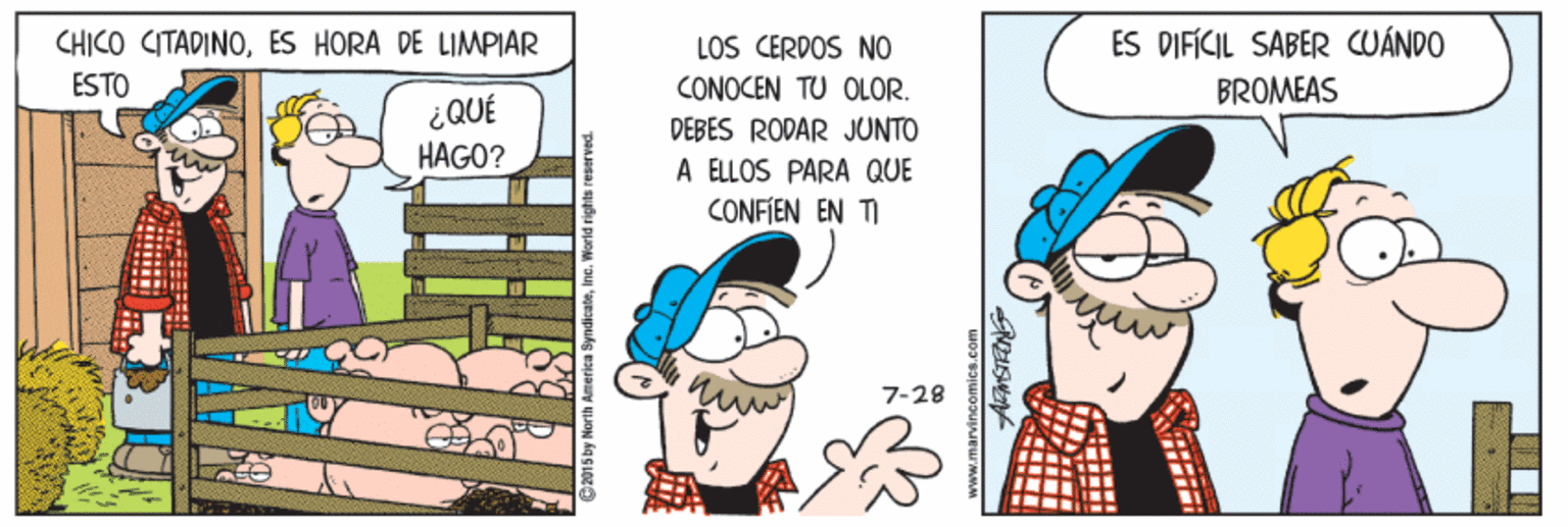 Font OCR: CHICO CITADINOÉS HORA DE LIMPIAR LOS CERDOS NO ÉS DIFÍCIL SABER CUÁNDO ESTO CONOCEN TU OLOR. BROMEAS ¿ QUÉ HAGO? DEBES RODAR JUNTO A ELLOS PARA QUE CONFIEN EN TI 7-28 ? CHICO CITADINOÉS HORA DE LIMPIAR LOS CERDOS NO ÉS DIFÍCIL SABER CUÁNDO ESTO CONOCEN TU OLOR. BROMEAS ¿ QUÉ HAGO? DEBES RODAR JUNTO A ELLOS PARA QUE CONFIEN EN TI 7-28 ?