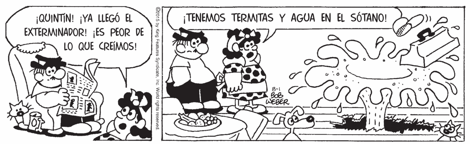 Style OCR: ¡QUINTIN! ¡YA LLEGÓ EL EXTERMINADOR! ES PEOR DE LO QUE CREÍMOS! ¡TENEMOS TERMITAS Y AGUA EN EL SÓTANO! BoB WEBER ¡QUINTIN! ¡YA LLEGÓ EL EXTERMINADOR! ES PEOR DE LO QUE CREÍMOS! ¡TENEMOS TERMITAS Y AGUA EN EL SÓTANO! BoB WEBER