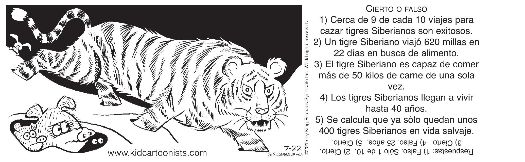 Whiskers OCR: CIERTO O FALSO 1) Cerca de 9 de cada 10 viajes para cazar tigres Siberianos son exitosos. 2) Un tigre Siberiano viajó 620 millas en 22 días en busca de alimento. 3) El tigre Siberiano es capaz de comer más de 50 kilos de carne de una sola vez. 4) Los tigres Siberianos llegan a vivir hasta 40 años. 5) Se calcula que ya sólo quedan unos 400 tigres Siberianos en vida salvaje. 3) Cierto. 4) Falso. 25 años. 5) Cierto. 7-22 www.kidcartoonists.com Respuestas: 1) Falso. Sólo 1 de 10. 2) Cierto. CIERTO O FALSO 1) Cerca de 9 de cada 10 viajes para cazar tigres Siberianos son exitosos. 2) Un tigre Siberiano viajó 620 millas en 22 días en busca de alimento. 3) El tigre Siberiano es capaz de comer más de 50 kilos de carne de una sola vez. 4) Los tigres Siberianos llegan a vivir hasta 40 años. 5) Se calcula que ya sólo quedan unos 400 tigres Siberianos en vida salvaje. 3) Cierto. 4) Falso. 25 años. 5) Cierto. 7-22 www.kidcartoonists.com Respuestas: 1) Falso. Sólo 1 de 10. 2) Cierto.