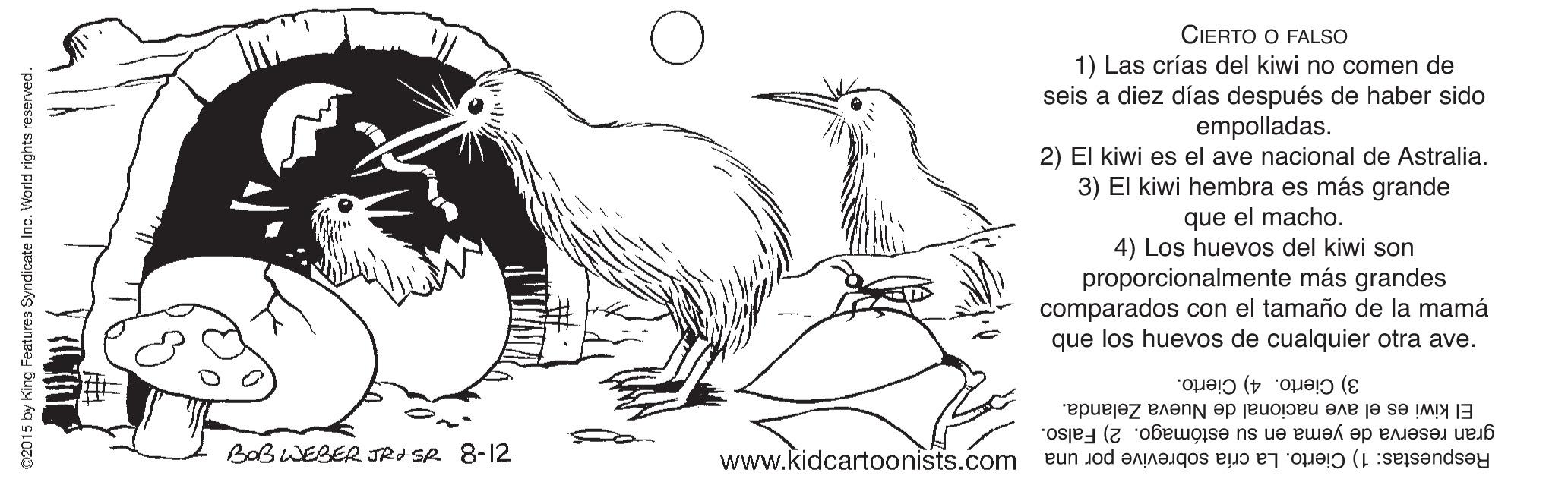 Font OCR: CIERTO O FALSO 1) Las crías del kiwi no comen de seis a diez días después de haber sido empolladas. 2) El kiwi es el ave nacional de Astralia. 3) El kiwi hembra es más grande que el macho. 4) Los huevos del kiwi son proporcionalmente más grandes comparados con el tamaño de la mamá que los huevos de cualquier otra ave. 3) Cierto. 4) Cierto. El kiwi es el ave nacional de Nueva Zelanda. gran reserva de yema en su estómago. 2) Falso. Respuestas: 1) Cierto. La cría sobrevive por una BOB WEBER JROSR 8-12 www.kidcartoonists.com by King Features Syndicate Inc. World rigl CIERTO O FALSO 1) Las crías del kiwi no comen de seis a diez días después de haber sido empolladas. 2) El kiwi es el ave nacional de Astralia. 3) El kiwi hembra es más grande que el macho. 4) Los huevos del kiwi son proporcionalmente más grandes comparados con el tamaño de la mamá que los huevos de cualquier otra ave. 3) Cierto. 4) Cierto. El kiwi es el ave nacional de Nueva Zelanda. gran reserva de yema en su estómago. 2) Falso. Respuestas: 1) Cierto. La cría sobrevive por una BOB WEBER JROSR 8-12 www.kidcartoonists.com by King Features Syndicate Inc. World rigl