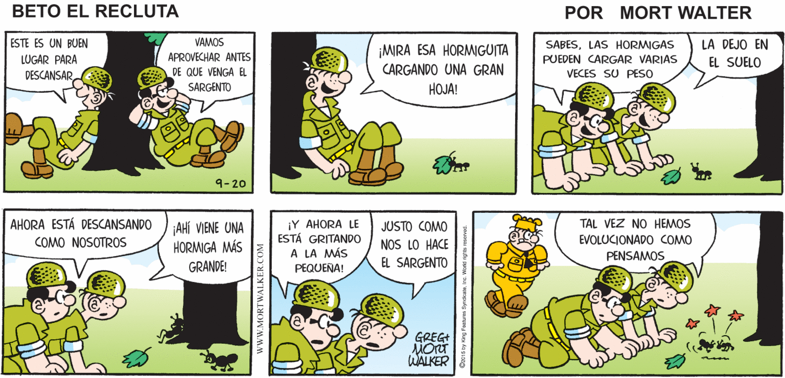 Mammal OCR: VEAN SI EL LUGAR QUE ESCOGÍ PARA ACAMPAR ESTÁ LIBRE ¡OYEESTE LUGAR ESTÁ BIEN! VAMOS A Mort Walker's PROBARLO! beto el recluta ESTE ES UN BUEN VAMOS APROVECHAR ANTES SABESLAS HORMIGAS PUEDEN CARGAR VARIAS VECES SU PESO LA DEJO EN ¡MRA ESA HORMIGUITA CARGANDO UNA GRAN HOJA! LUGAR PARA EL SUELO A DE QUE VENGA EL SARGENTO DESCANSAR 9-20 AHORA ESTÁ DESCANSANDO ¡AHÍ VIENE UNA HORMIGA MÁS ¡Y AHORA LE ESTÁ GRITANDO A LA MÁS PEQUEÑA! JUSTO COMO TAL VEZ NO HEMOS COMO NOSOTROS NOS LO HACE EVOLUCIONADO COMO PENSAMOS GRANDE! EL SARGENTO GREG+ WALKER wwW.MORTWALKER.COM VEAN SI EL LUGAR QUE ESCOGÍ PARA ACAMPAR ESTÁ LIBRE ¡OYEESTE LUGAR ESTÁ BIEN! VAMOS A Mort Walker's PROBARLO! beto el recluta ESTE ES UN BUEN VAMOS APROVECHAR ANTES SABESLAS HORMIGAS PUEDEN CARGAR VARIAS VECES SU PESO LA DEJO EN ¡MRA ESA HORMIGUITA CARGANDO UNA GRAN HOJA! LUGAR PARA EL SUELO A DE QUE VENGA EL SARGENTO DESCANSAR 9-20 AHORA ESTÁ DESCANSANDO ¡AHÍ VIENE UNA HORMIGA MÁS ¡Y AHORA LE ESTÁ GRITANDO A LA MÁS PEQUEÑA! JUSTO COMO TAL VEZ NO HEMOS COMO NOSOTROS NOS LO HACE EVOLUCIONADO COMO PENSAMOS GRANDE! EL SARGENTO GREG+ WALKER wwW.MORTWALKER.COM