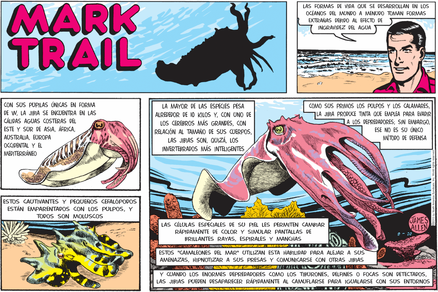 Slope OCR: MARK TRAIL LAS FORMAS DE VIDA QUE SE DESARROLLAN EN LOS OCÉANOS DEL MUNDO A MENUDO TOMAN FORMAS EXTRANAS DEBIDO AL EFECTO DE Y INGRAVIDEZ DEL AGUA CON SUS PUPILAS ÚNICAS EN FORMA DE WLA JIBIA SE ENCUENTRA EN LAS CÁLIDAS AGUAS COSTERAS DEL ESTE Y SUR DE ASIALA MAYOR DE LAS ESPECIES PESA COMO SUS PRIMOS LOS PULPOS Y LOS CALAMARESCON UNO DE LOS CEREBROS MÁS GRANDESCON RELACIÓN AL TAMAÑO DE SUS CUERPOSLOS INVERTEBRADOS MÁS INTELIGENTES LA JIBIA PRODUCE TINTA QUE EMPLEA PARA EVADIR LA LOS DEPREDADORES; SIN EMBARGOESE NO ES SU ÚNICO MÉTODO DE DEFENSA AUSTRALIAEUROPA OCCIDENTAL Y EL MEDITERRÁNEO ESTOS CAUTIVANTES Y PEQUEÑOS CEFALÓPODOS ESTÁN EMPARENTADOS CON LOS PULPOSY TODOS SON MOLUSCOS JAMES ALLEN LAS CÉLULAS ESPECIALES DE SU PIEL LES PERMITEN CAMBIAR RÁPIDAMENTE DE COLOR Y SIMULAR PANTALLAS DE BRILLANTES RAYASESPIRALES Y MANCHAS 20 ESTOS "CAMALEONES DEL MAR" UTILIZAN ESTA HABILIDAD PARA ALEJAR A SUS AMENAZASHIPNOTZAR A SUS PRESAS Y COMUNICARSE CON OTRAS JIBIAS Y CUANDO LOSS ENORMES DEPREDADORES COMO LOS TIBURONESLAS JIBIAS PUEDEN DESAPARECER RÁPIDAMENTE AL CAMUFLARSE PARA IGUALARSE CON SUS ENTORNOS MD I S 1.IL MARK TRAIL LAS FORMAS DE VIDA QUE SE DESARROLLAN EN LOS OCÉANOS DEL MUNDO A MENUDO TOMAN FORMAS EXTRANAS DEBIDO AL EFECTO DE Y INGRAVIDEZ DEL AGUA CON SUS PUPILAS ÚNICAS EN FORMA DE WLA JIBIA SE ENCUENTRA EN LAS CÁLIDAS AGUAS COSTERAS DEL ESTE Y SUR DE ASIALA MAYOR DE LAS ESPECIES PESA COMO SUS PRIMOS LOS PULPOS Y LOS CALAMARESALREDEDOR DE 10 KILOS YCON UNO DE LOS CEREBROS MÁS GRANDESCON RELACIÓN AL TAMAÑO DE SUS CUERPOSLAS JIBIAS SONLOS INVERTEBRADOS MÁS INTELIGENTES LA JIBIA PRODUCE TINTA QUE EMPLEA PARA EVADIR LA LOS DEPREDADORES; SIN EMBARGOESE NO ES SU ÚNICO MÉTODO DE DEFENSA AUSTRALIAEUROPA OCCIDENTAL Y EL MEDITERRÁNEO ESTOS CAUTIVANTES Y PEQUEÑOS CEFALÓPODOS ESTÁN EMPARENTADOS CON LOS PULPOSY TODOS SON MOLUSCOS JAMES ALLEN LAS CÉLULAS ESPECIALES DE SU PIEL LES PERMITEN CAMBIAR RÁPIDAMENTE DE COLOR Y SIMULAR PANTALLAS DE BRILLANTES RAYASESPIRALES Y MANCHAS 20 ESTOS "CAMALEONES DEL MAR" UTILIZAN ESTA HABILIDAD PARA ALEJAR A SUS AMENAZASHIPNOTZAR A SUS PRESAS Y COMUNICARSE CON OTRAS JIBIAS Y CUANDO LOSS ENORMES DEPREDADORES COMO LOS TIBURONESDELAINES O FOCAS SON DETECTADOSLAS JIBIAS PUEDEN DESAPARECER RÁPIDAMENTE AL CAMUFLARSE PARA IGUALARSE CON SUS ENTORNOS MD I S 1.IL