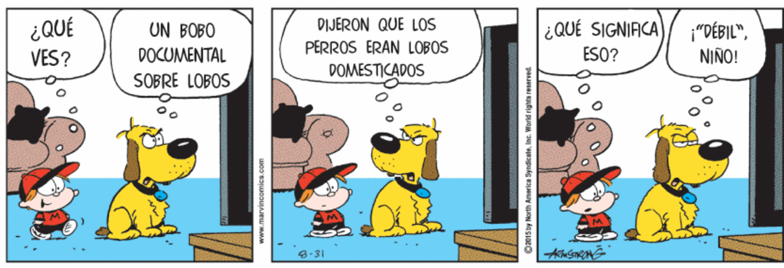 Conversation OCR: ¿QUÉ VES? DIJERON QUE LOS PERROS ERAN LOBOS DOMESTICADOS ¿QUÉ SIGNIFICA UN BOBO DOCUMENTAL ¡"DÉBIL"ESO? NIÑO! SOBRE LOBOS 8-31 www.marvincomics.com 015 by North America SyndicaleInc. World rights reserved. ¿QUÉ VES? DIJERON QUE LOS PERROS ERAN LOBOS DOMESTICADOS ¿QUÉ SIGNIFICA UN BOBO DOCUMENTAL ¡"DÉBIL"ESO? NIÑO! SOBRE LOBOS 8-31 www.marvincomics.com 015 by North America SyndicaleInc. World rights reserved.