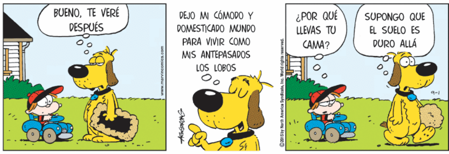 Pleased OCR: BUENOTE VERÉ DESPUÉS ¿POR QUÉ LLEVAS TU DEJO MI CÓMODO Y SUPONGO QUE DOMESTICADO MUNDO PARA VIVIR COMO EL SUELO ES CAMA? DURO ALLÁ MIS ANTEPASADOS LOS LOBOS 9-1 92015by North Amerie BUENOTE VERÉ DESPUÉS ¿POR QUÉ LLEVAS TU DEJO MI CÓMODO Y SUPONGO QUE DOMESTICADO MUNDO PARA VIVIR COMO EL SUELO ES CAMA? DURO ALLÁ MIS ANTEPASADOS LOS LOBOS 9-1 92015by North Amerie
