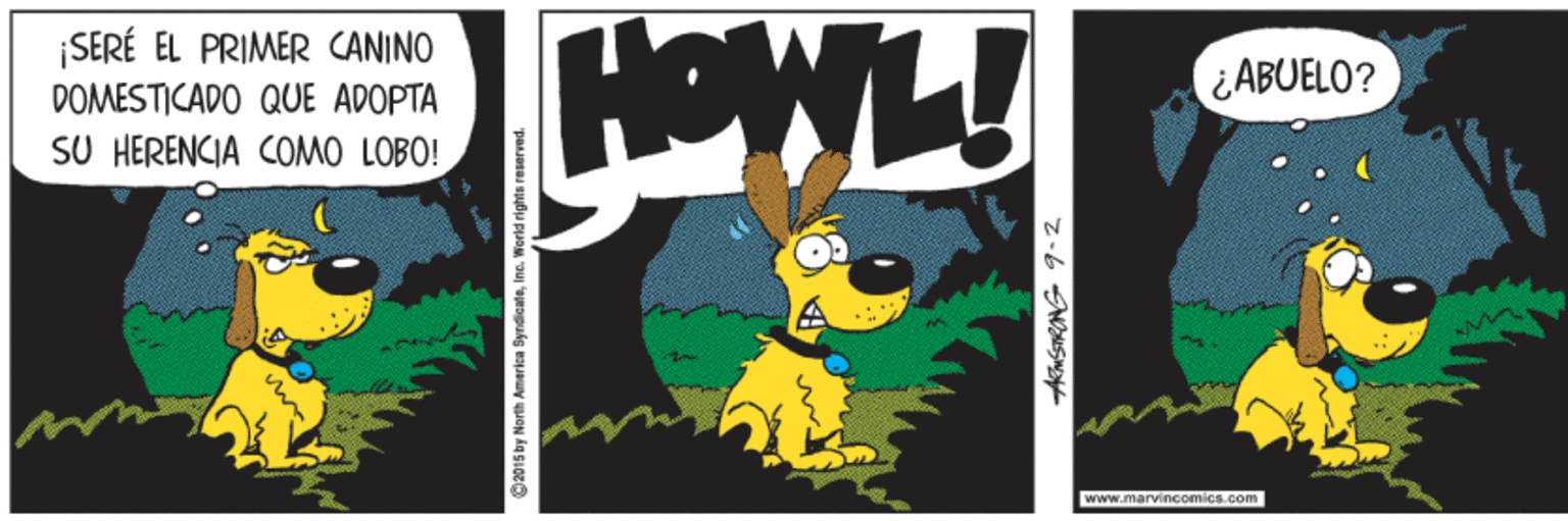 Painting OCR: HOWL! SERÉ EL PRIMER CANINO ABUELO? DOMESTICADO QUE ADOPTA SU HERENCIA COMO LOBO! www.marvincomics.com O2015 by North America SyndicateInc. World rights reserved z-6 NNS HOWL! SERÉ EL PRIMER CANINO ABUELO? DOMESTICADO QUE ADOPTA SU HERENCIA COMO LOBO! www.marvincomics.com O2015 by North America SyndicateInc. World rights reserved z-6 NNS