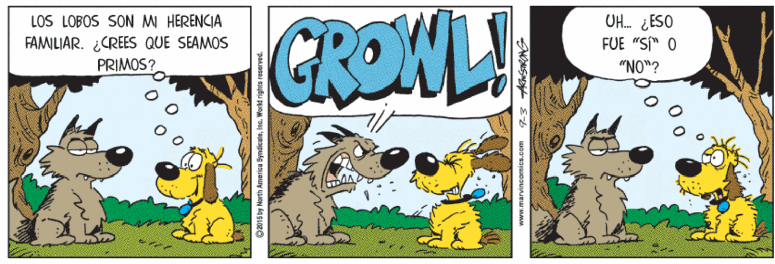 Comics OCR: GRONL! LOS LOBOS SON MI HERENCIA FAMILIAR. ¿CREES QUE SEAMOS PRIMOS? UH. ¿ESO FUE "SI" O "NO"? 2015 by North America SyndicateIne. World rights reserved. GRONL! LOS LOBOS SON MI HERENCIA FAMILIAR. ¿CREES QUE SEAMOS PRIMOS? UH. ¿ESO FUE "SI" O "NO"? 2015 by North America SyndicateIne. World rights reserved.