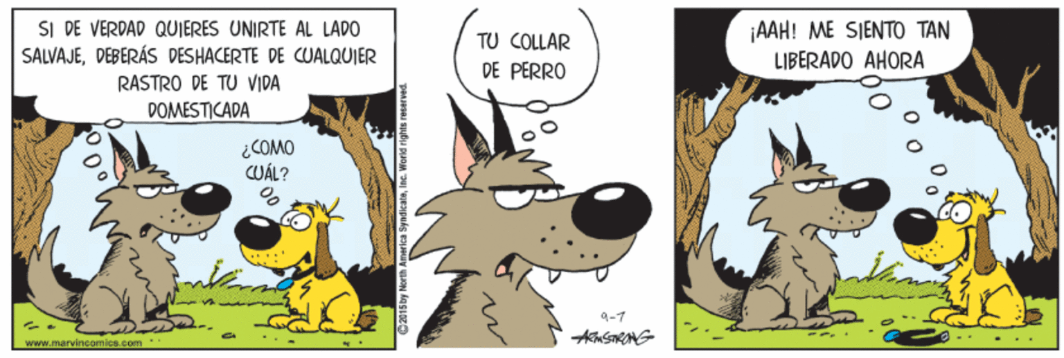 Happy OCR: SI DE VERDAD QUIERES UNIRTE AL LADO SALVAJEDEBERÁS DESHACERTE DE CUALQUIER TU COLLAR DE PERRO ¡AAH! ME SIENTO TAN LIBERADO AHORA RASTRO DE TU VIDA DOMESTICADA ¿COMO CUÁL? 9-7 www.marvincomics.com SI DE VERDAD QUIERES UNIRTE AL LADO SALVAJEDEBERÁS DESHACERTE DE CUALQUIER TU COLLAR DE PERRO ¡AAH! ME SIENTO TAN LIBERADO AHORA RASTRO DE TU VIDA DOMESTICADA ¿COMO CUÁL? 9-7 www.marvincomics.com
