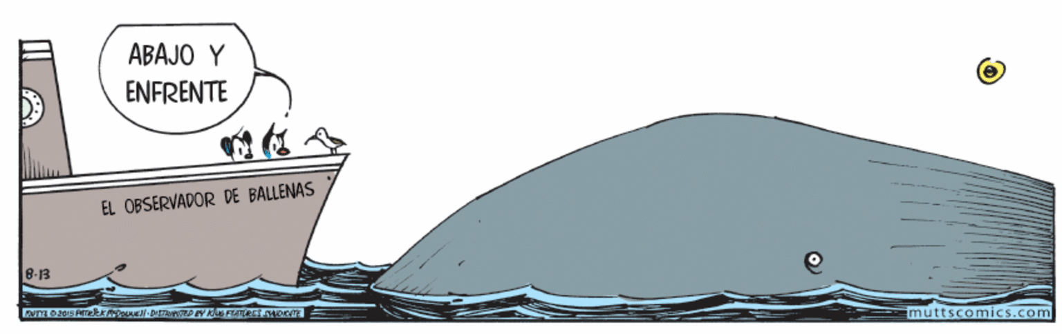 Bumper OCR: ABAJO Y ENFRENTE EL OBSERVADOR DE BALLENAS B-13 imuttscomics.com ABAJO Y ENFRENTE EL OBSERVADOR DE BALLENAS B-13 imuttscomics.com