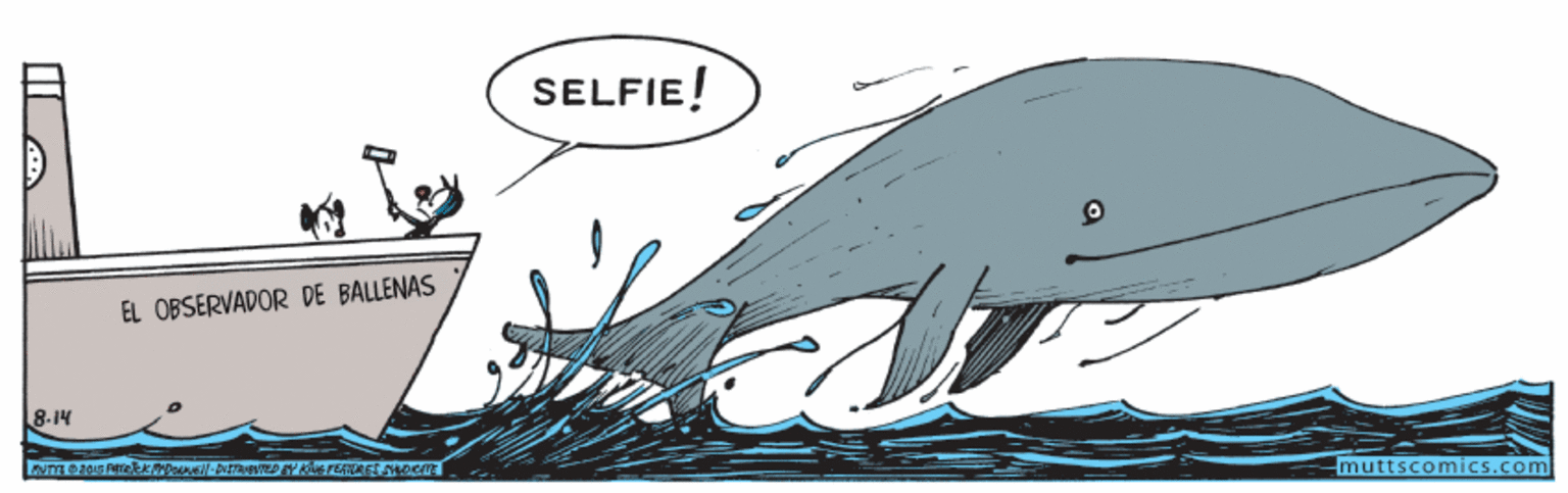 Illustration OCR: SELFIE! EL OBSERVADOR DE BALLENAS 8-14 muttscomics.com SELFIE! EL OBSERVADOR DE BALLENAS 8-14 muttscomics.com