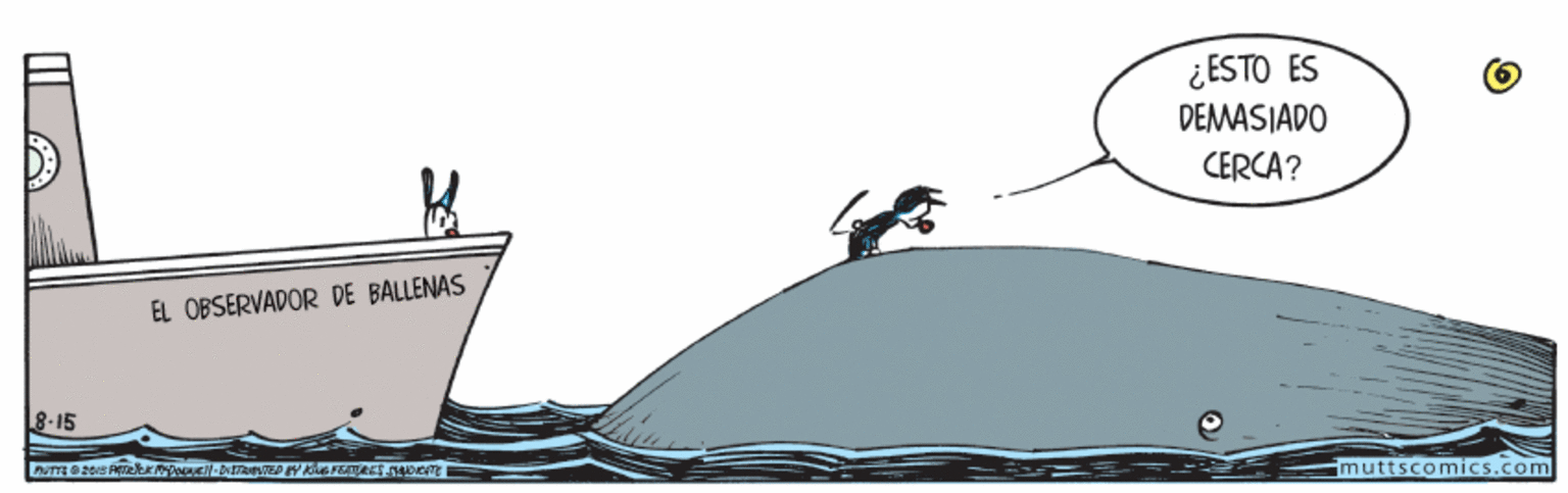 Illustration OCR: ¿ ESTO ES DEMASIADO CERCA? EL OBSERVADOR DE BALLENAS 8-15 muttscomics.com ¿ ESTO ES DEMASIADO CERCA? EL OBSERVADOR DE BALLENAS 8-15 muttscomics.com