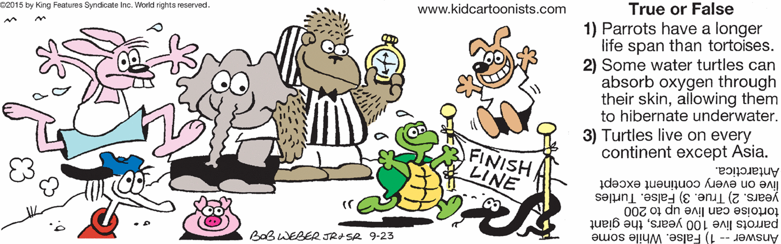 Drawing OCR: True or False www.kidcartoonists.com 1) Parrots have a longer life span than tortoises. 2) Some water turtles can absorb oxygen through their skinallowing them to hibernate underwater. 02015 by King Features Syndicate Inc. World rights reserved. 3) Turtles live on every continent except Asia. Antarctica. FINISH LINE live on every continent except years. 2) True. 3) False. Turtles tortoise can live up to 200 parrots live 100 yearsthe giant Answer -- 1) False. While some BaBWEBER JRISR 9-23 True or False www.kidcartoonists.com 1) Parrots have a longer life span than tortoises. 2) Some water turtles can absorb oxygen through their skinallowing them to hibernate underwater. 02015 by King Features Syndicate Inc. World rights reserved. 3) Turtles live on every continent except Asia. Antarctica. FINISH LINE live on every continent except years. 2) True. 3) False. Turtles tortoise can live up to 200 parrots live 100 yearsthe giant Answer -- 1) False. While some BaBWEBER JRISR 9-23
